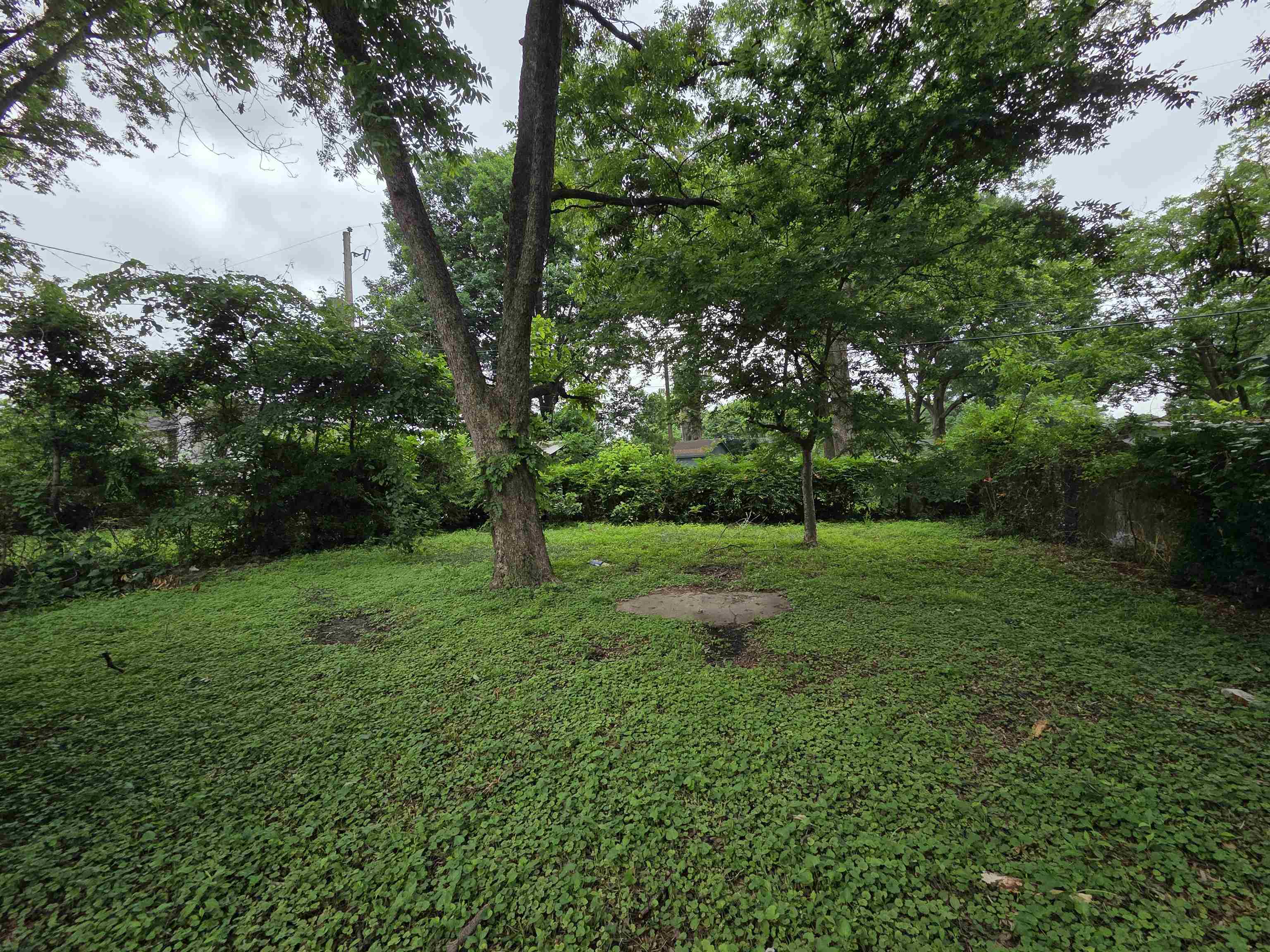 4047 Chelsea Ave Property Photo 17