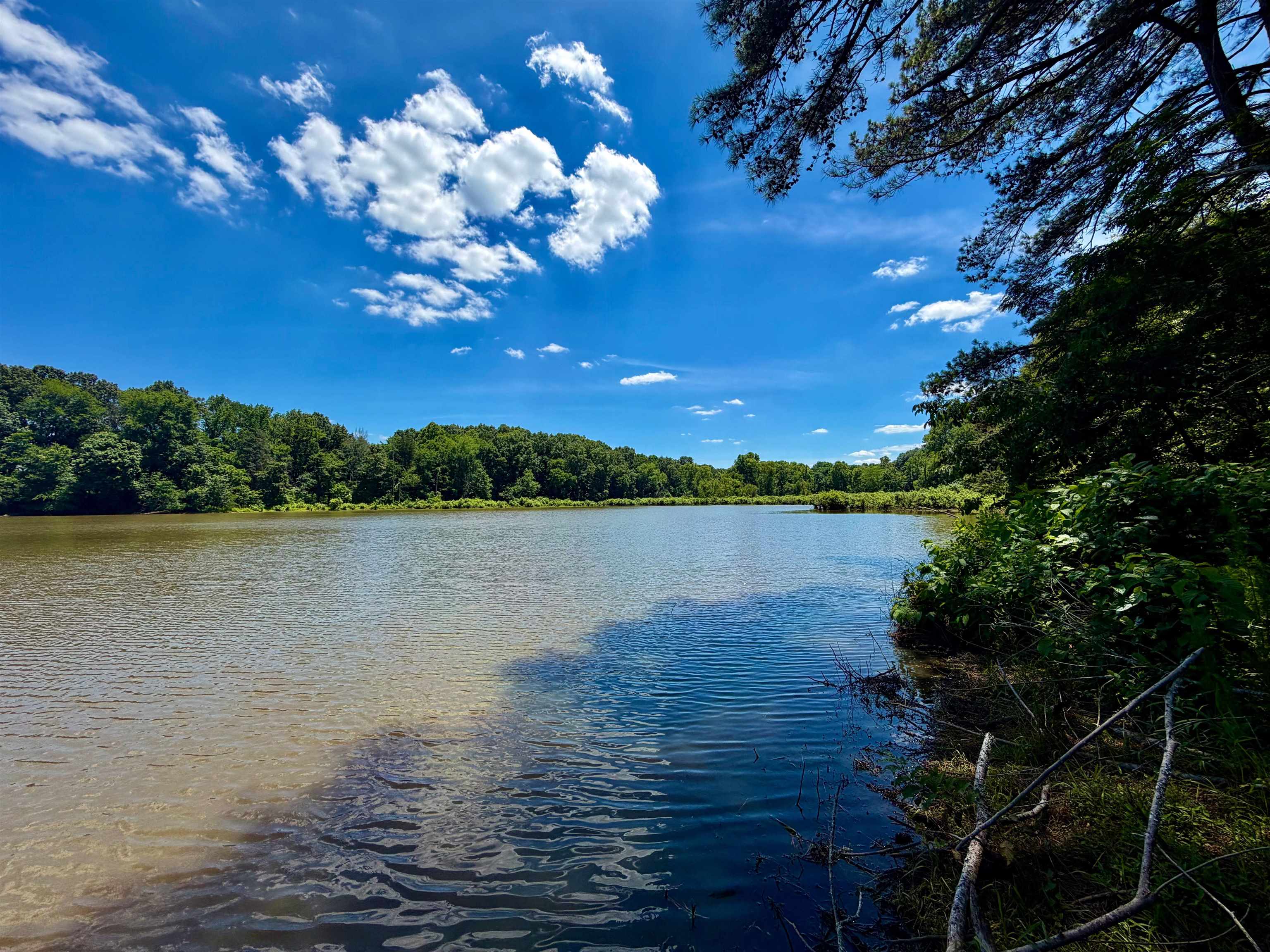 40.37 Ac Smyrna Rd Property Photo 2