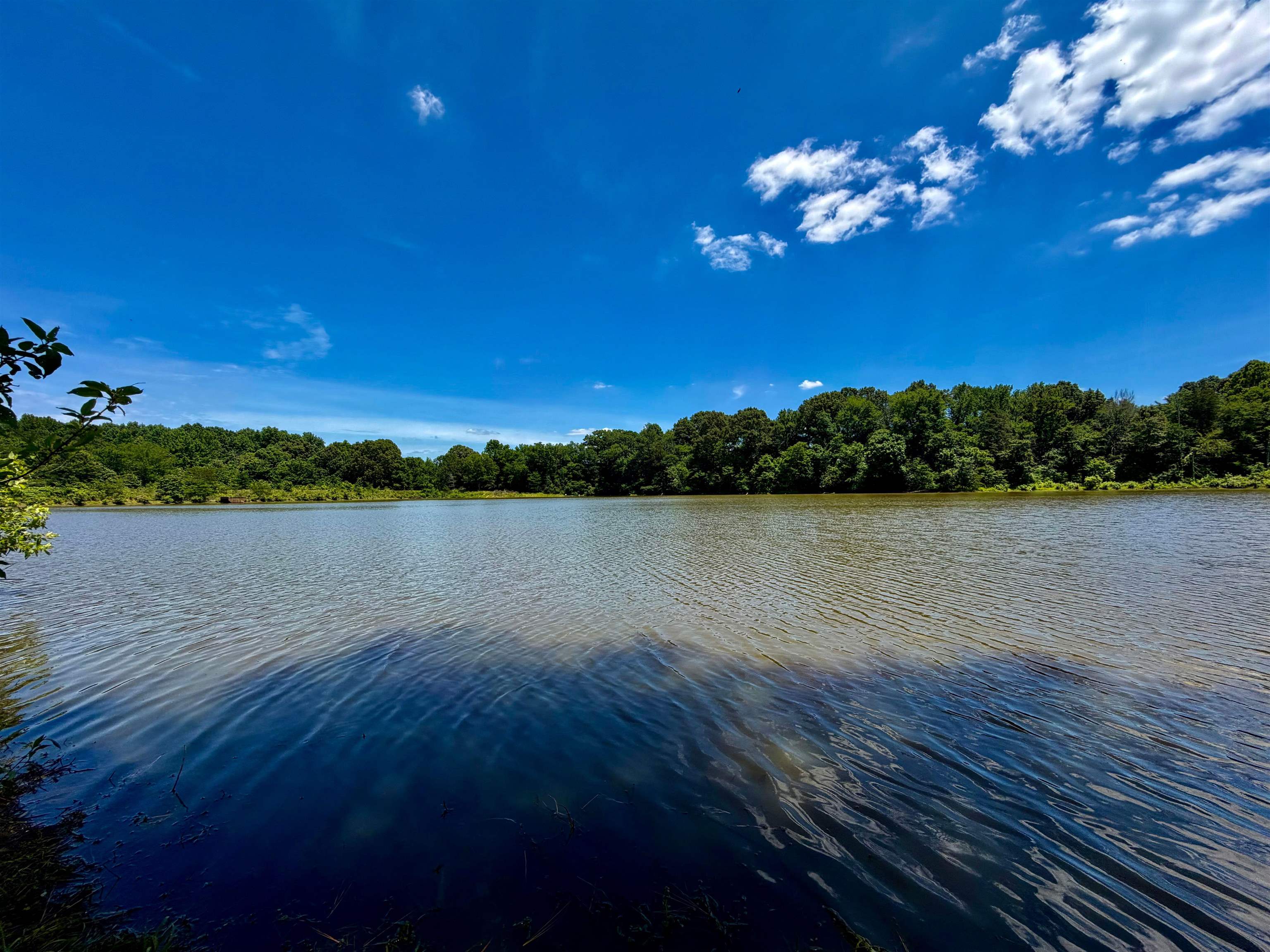 40.37 Ac Smyrna Rd Property Photo 3