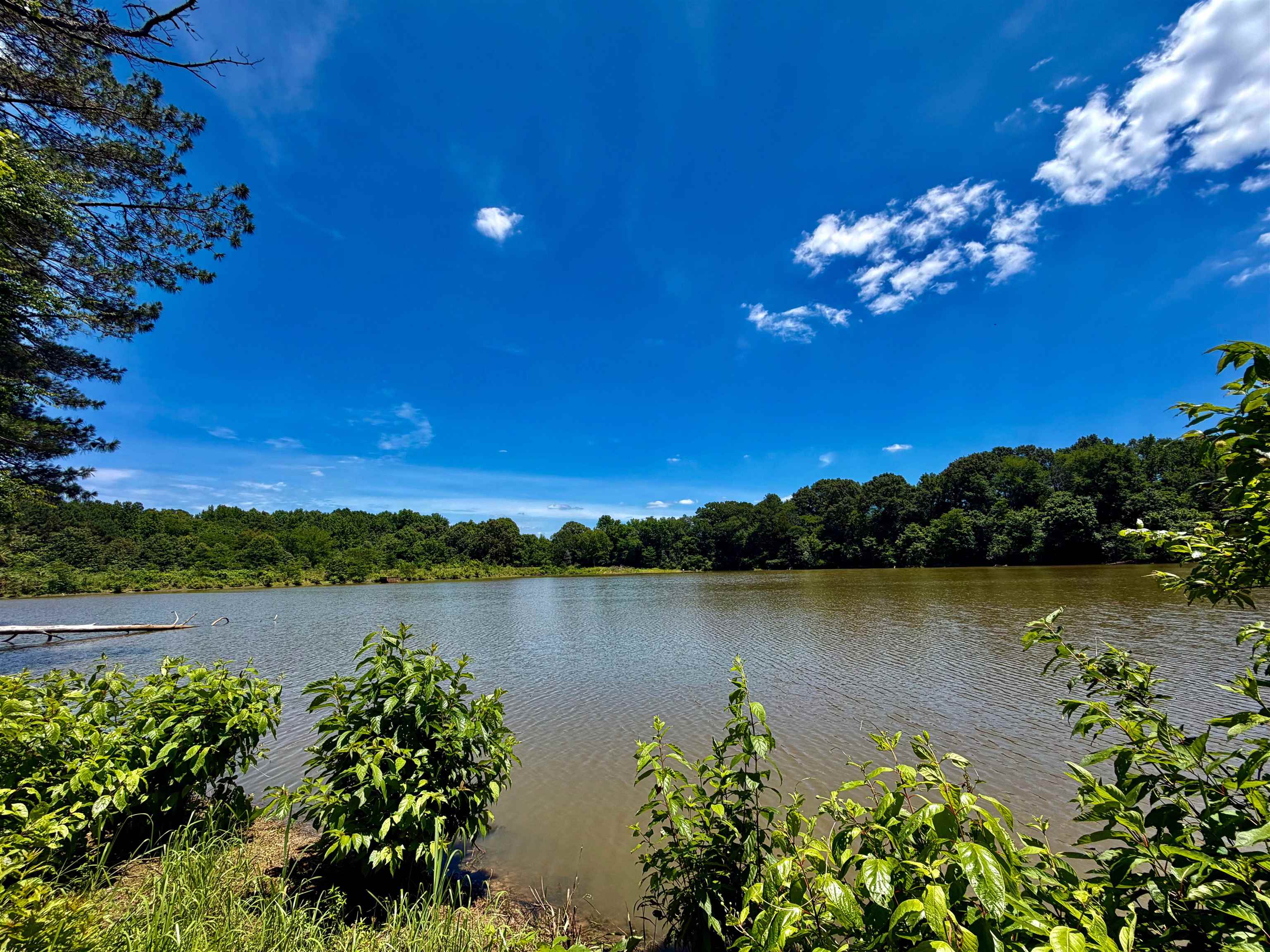 40.37 Ac Smyrna Rd Property Photo 4