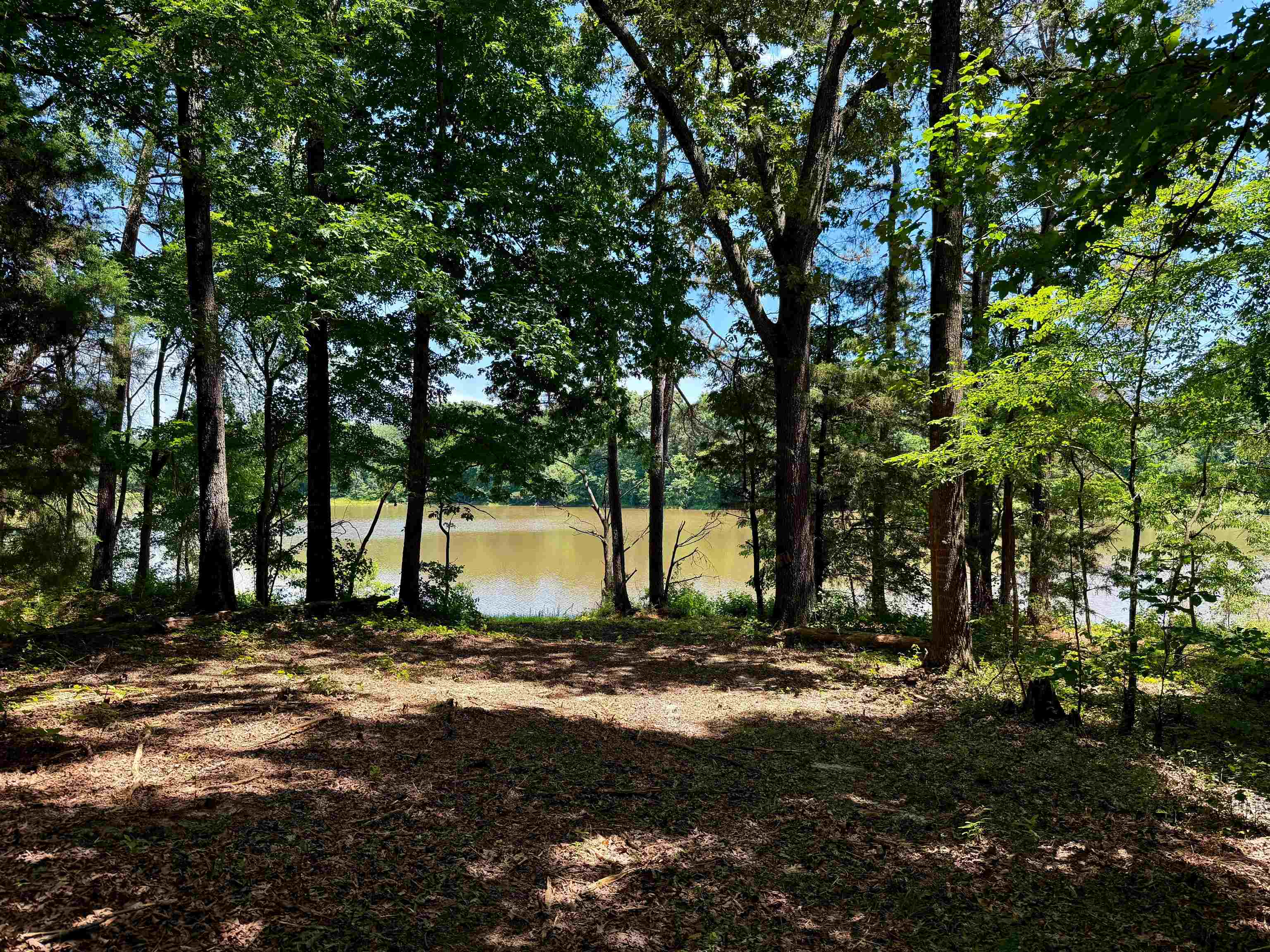 40.37 Ac Smyrna Rd Property Photo 6