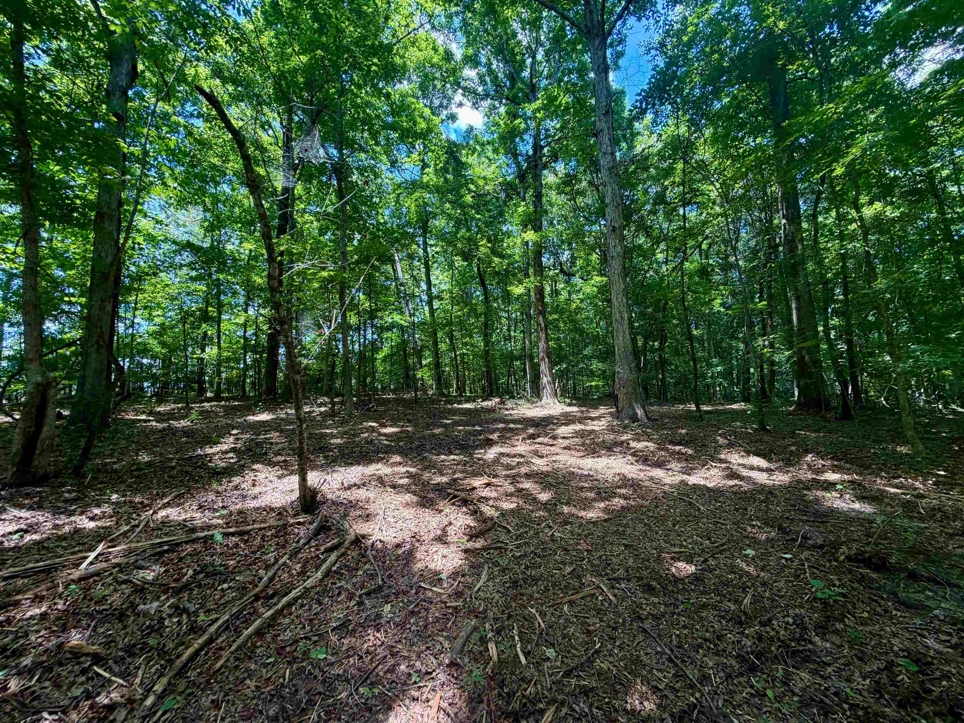 40.37 Ac Smyrna Rd Property Photo 10