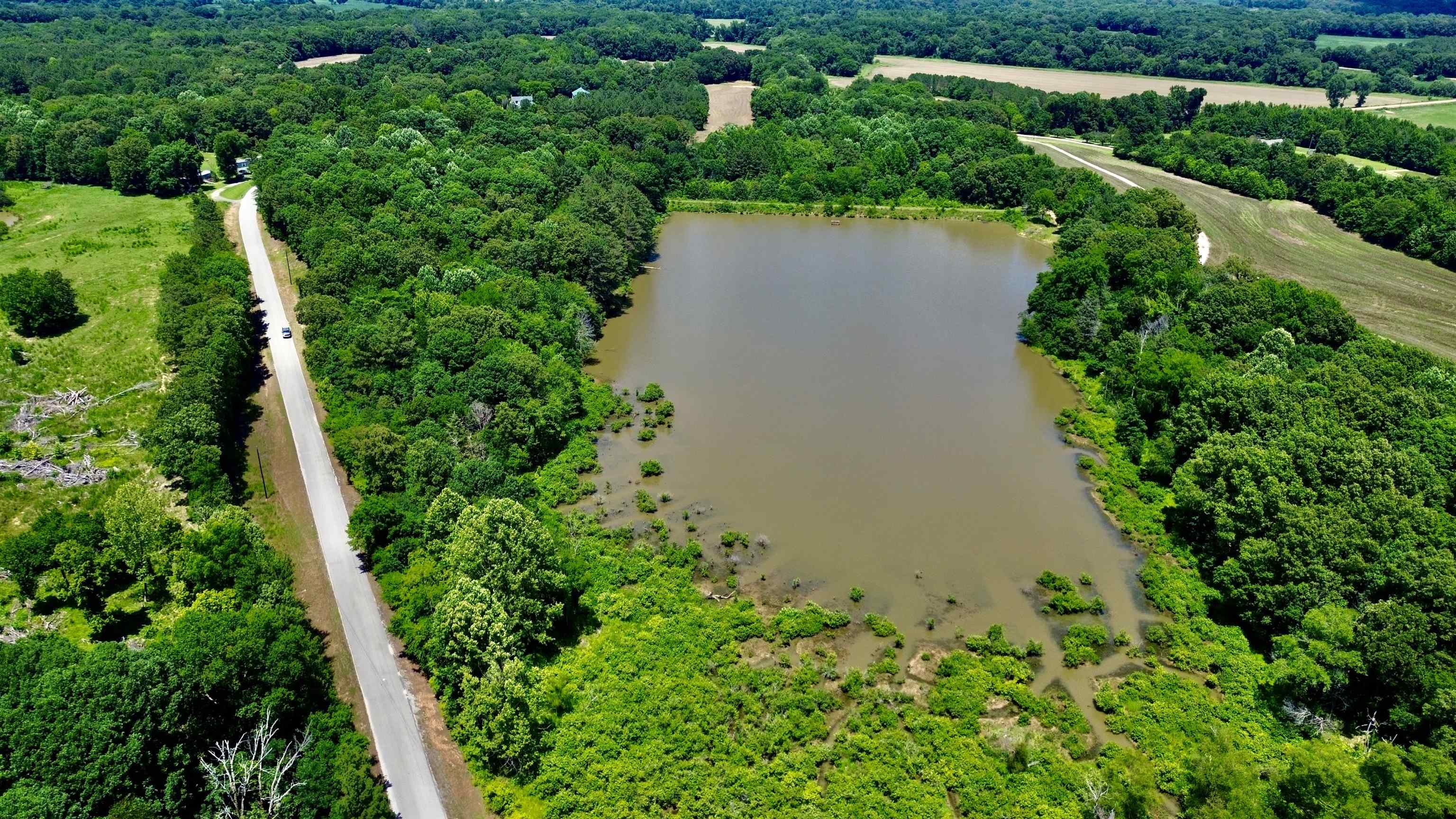 40.37 Ac Smyrna Rd Property Photo 12