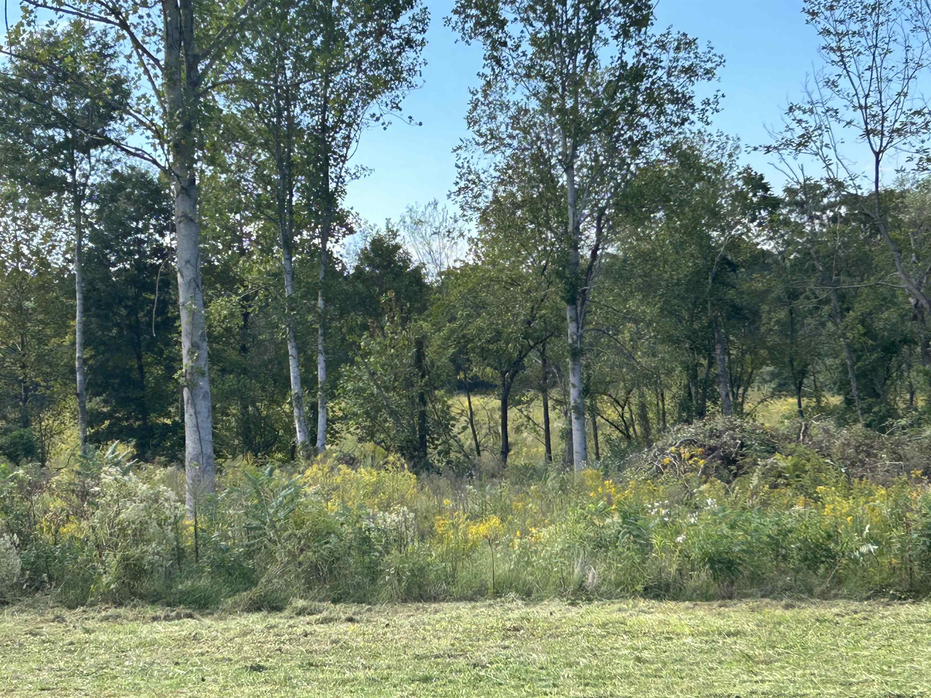 Lot 36 Cordova Cv Property Photo 2
