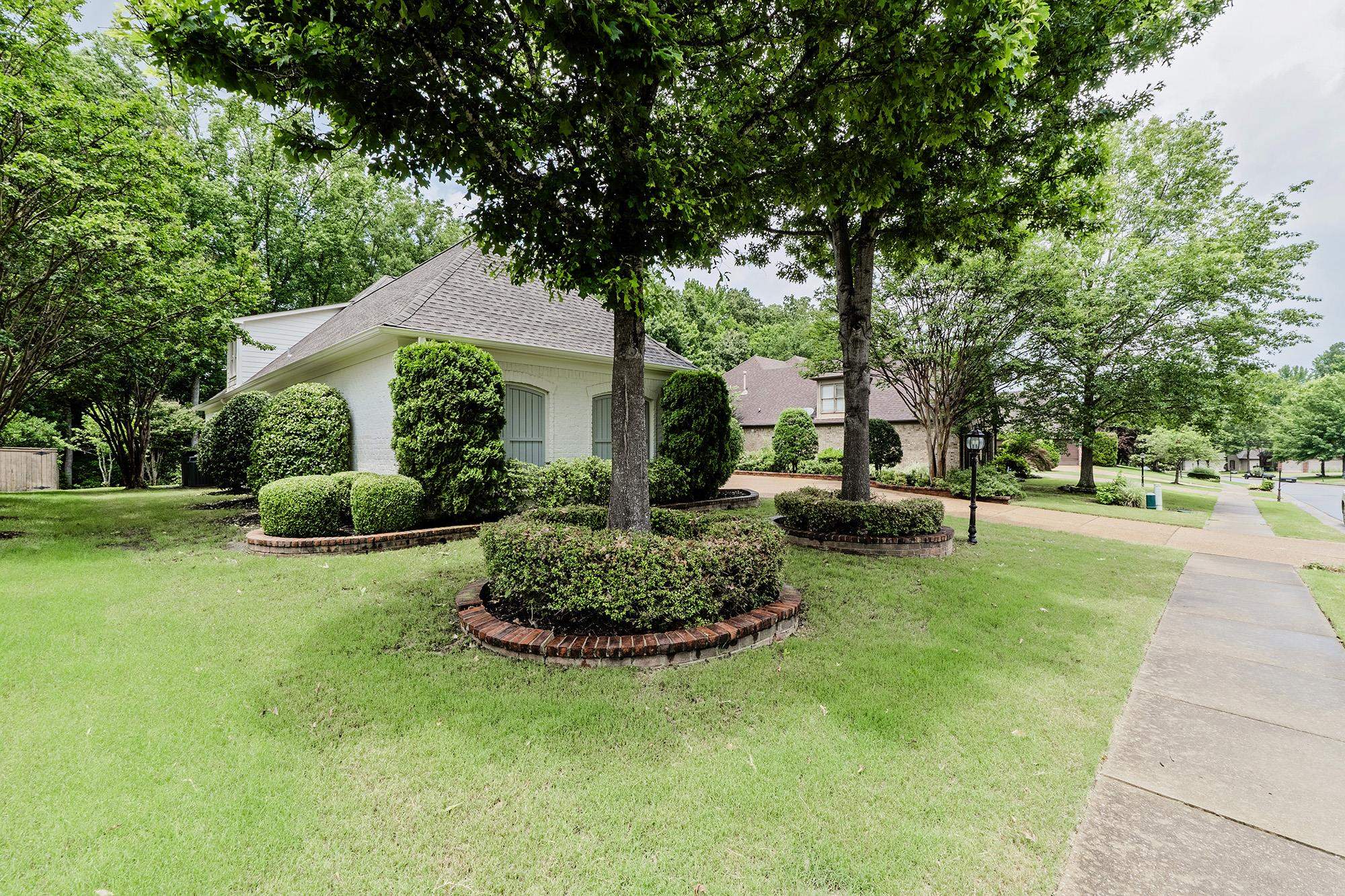 4437 Coltwood Dr Property Photo 4