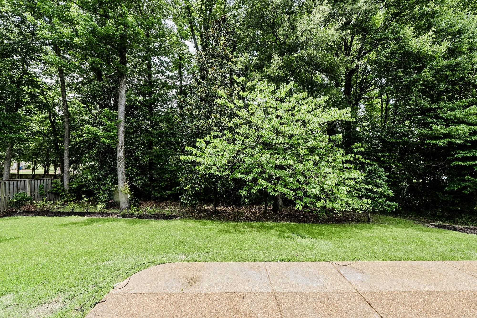 4437 Coltwood Dr Property Photo 39