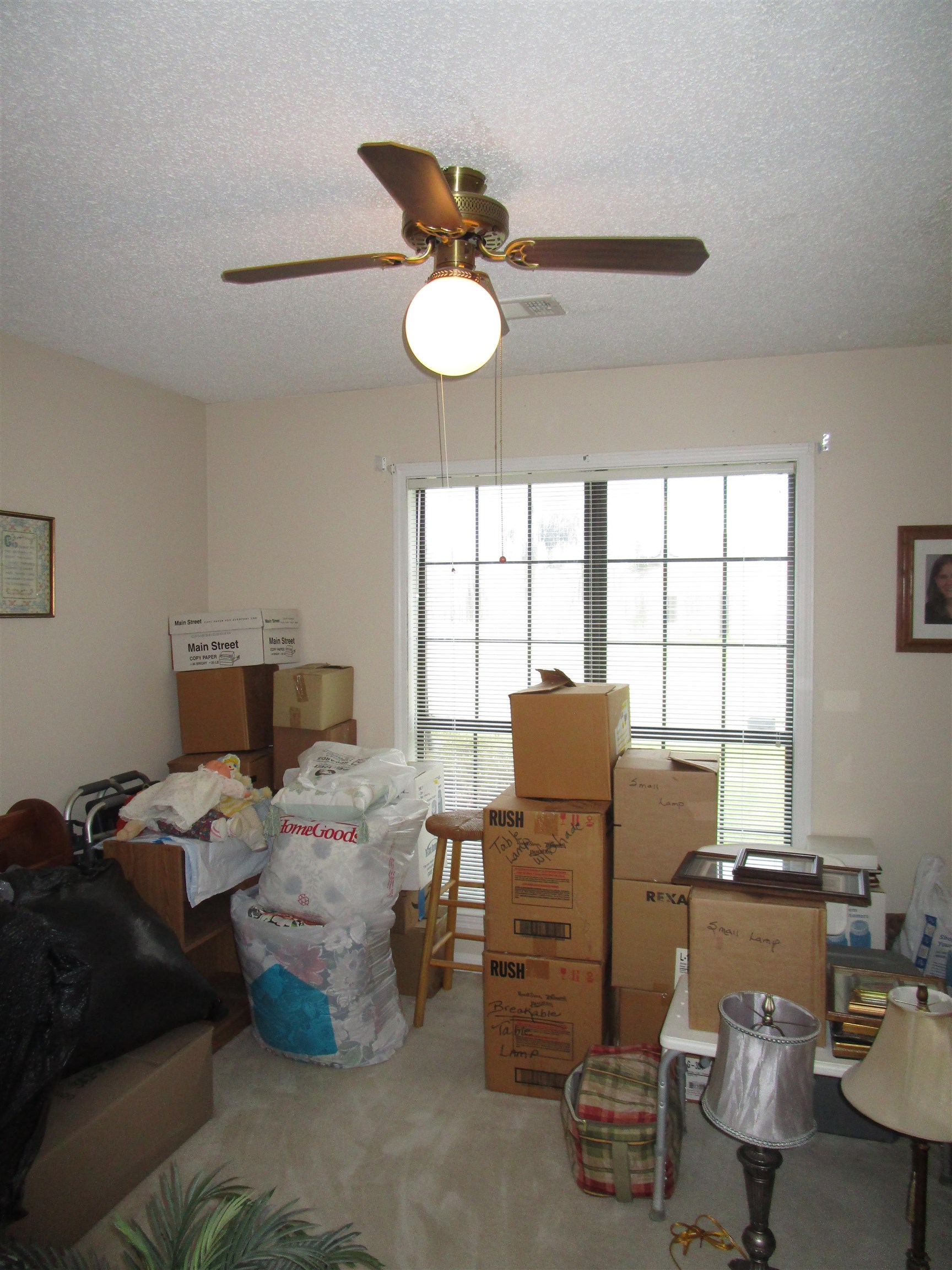 6888 Juana Dr Property Photo 17