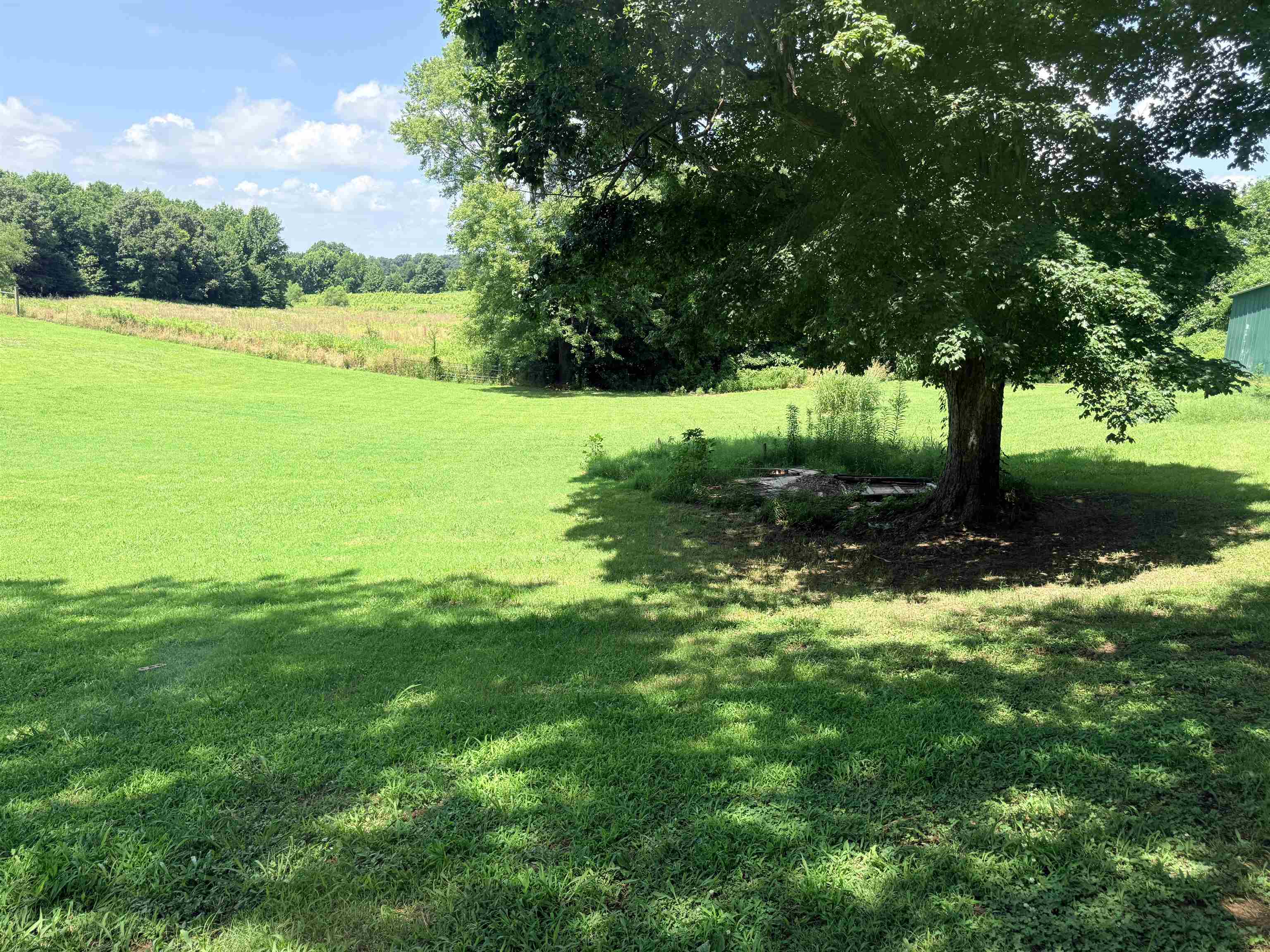 6719 Chestnut Bluff Maury City Rd Rd Property Photo 5