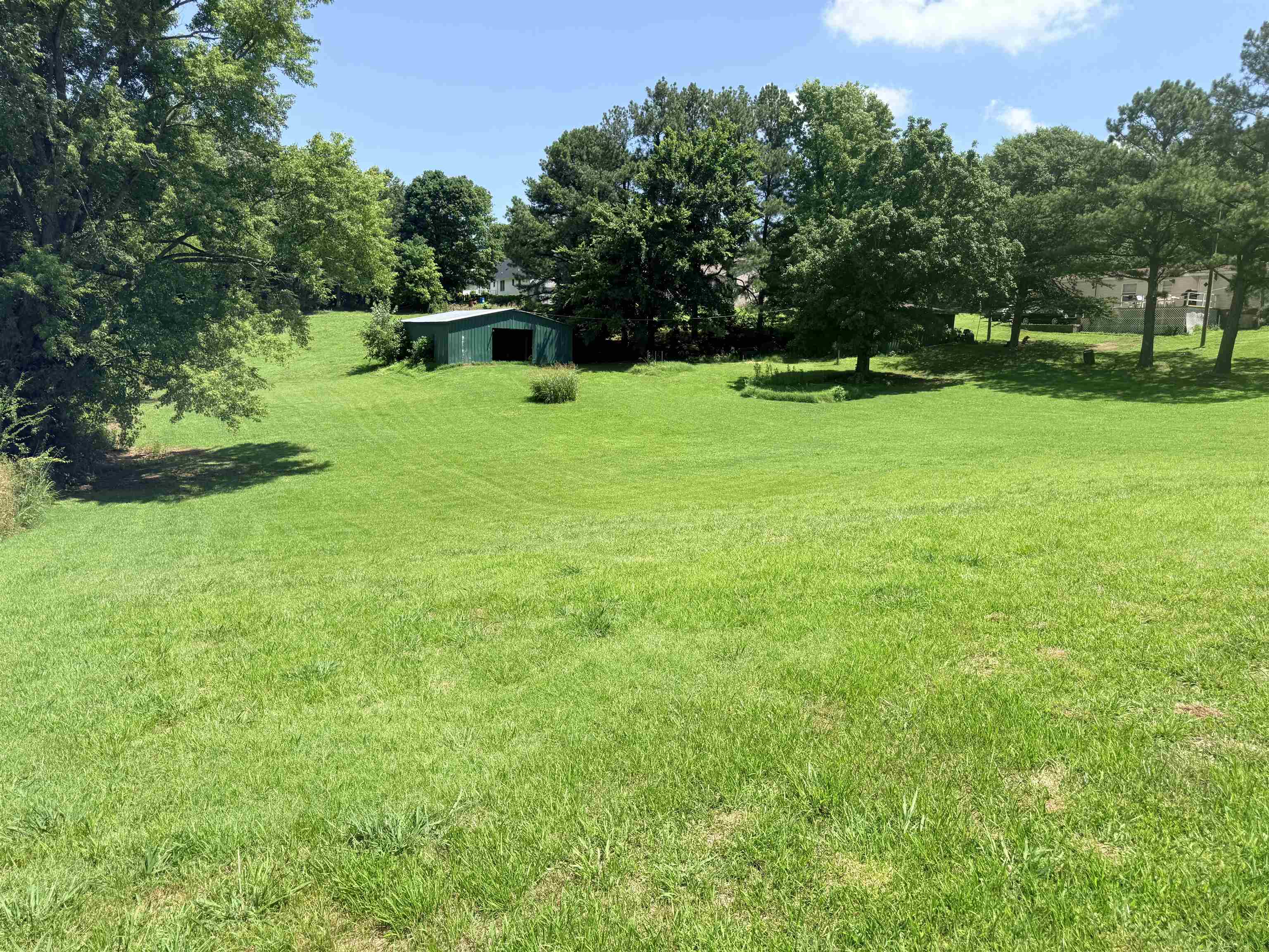 6719 Chestnut Bluff Maury City Rd Rd Property Photo 7