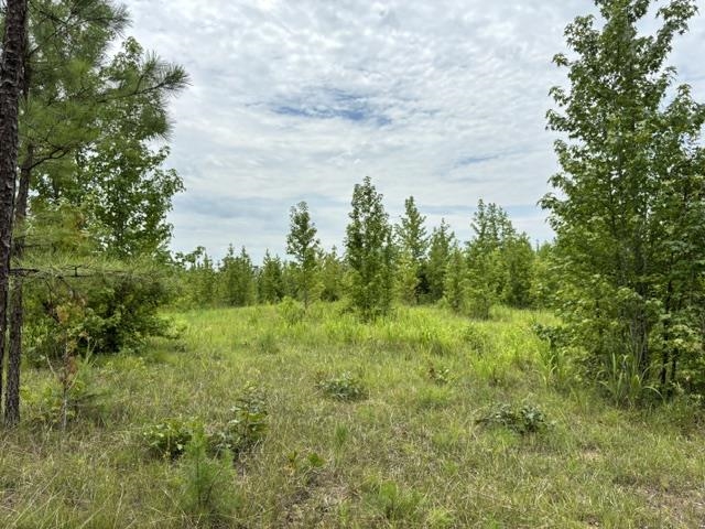 00 Purdy Beauty Hill Rd Property Photo 10