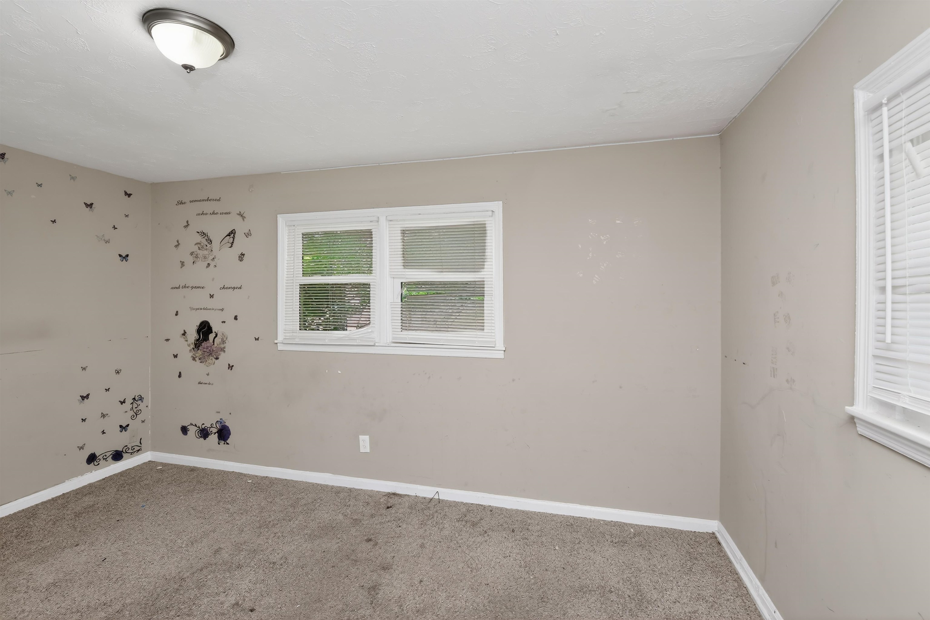 3812 Alma Dr Property Photo 13
