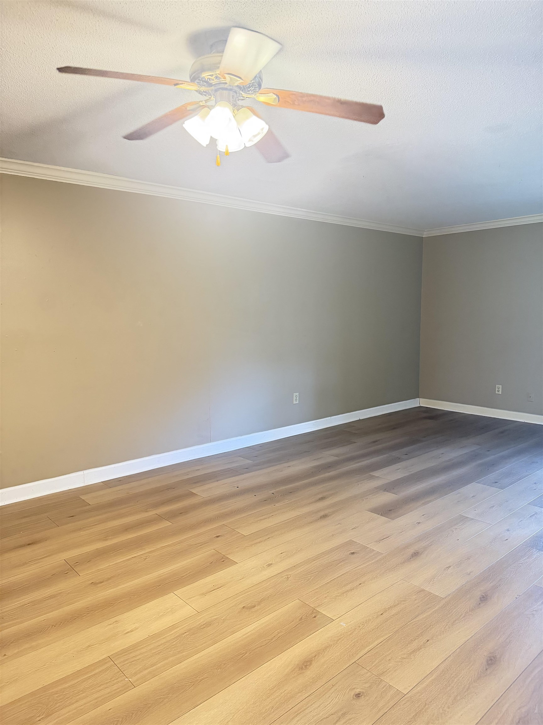 5718 Quince Rd 13 Property Photo 11