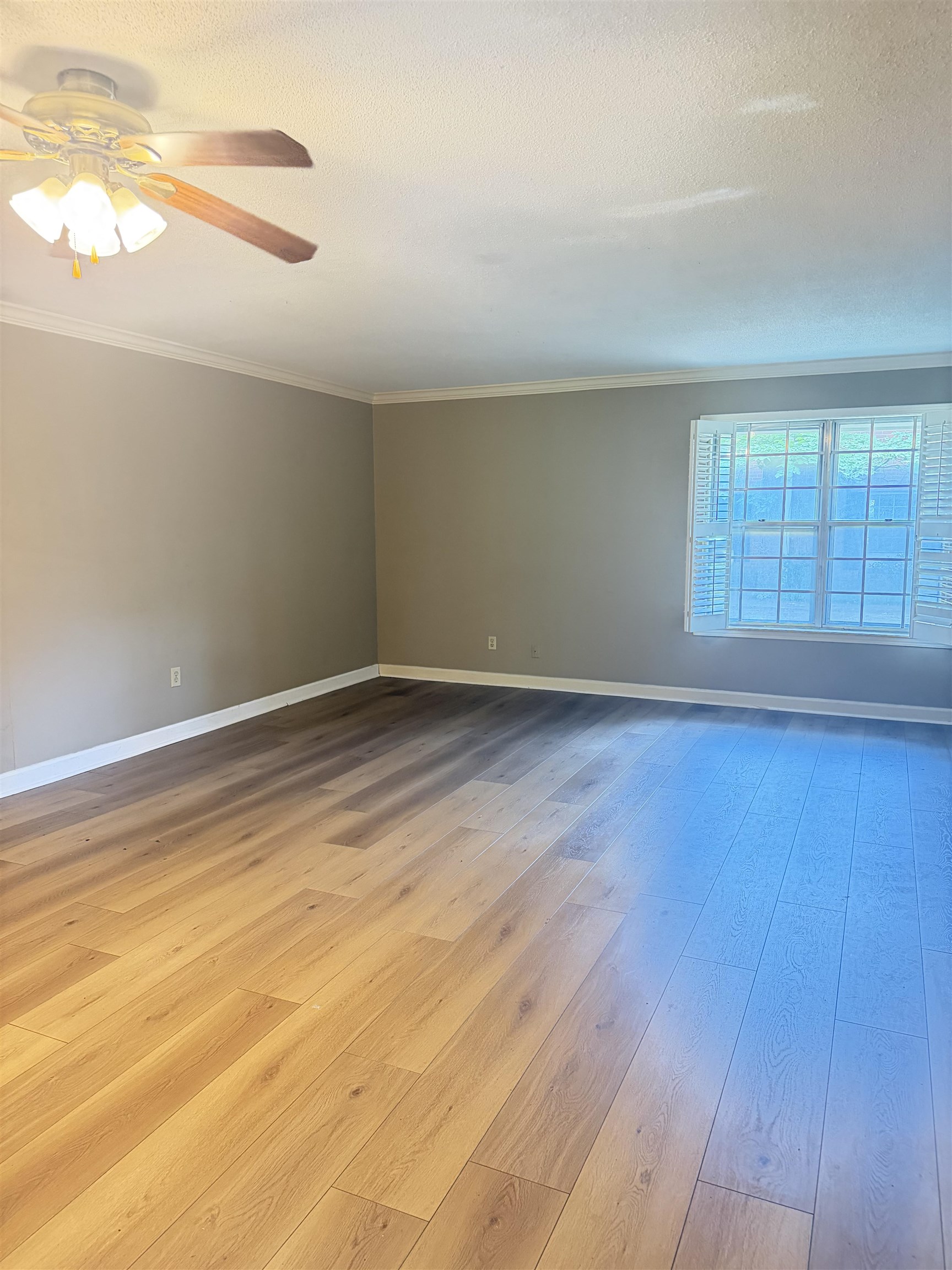5718 Quince Rd 13 Property Photo 12