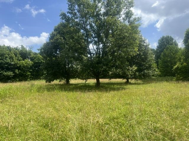 8330 18 Hwy S Property Photo 3