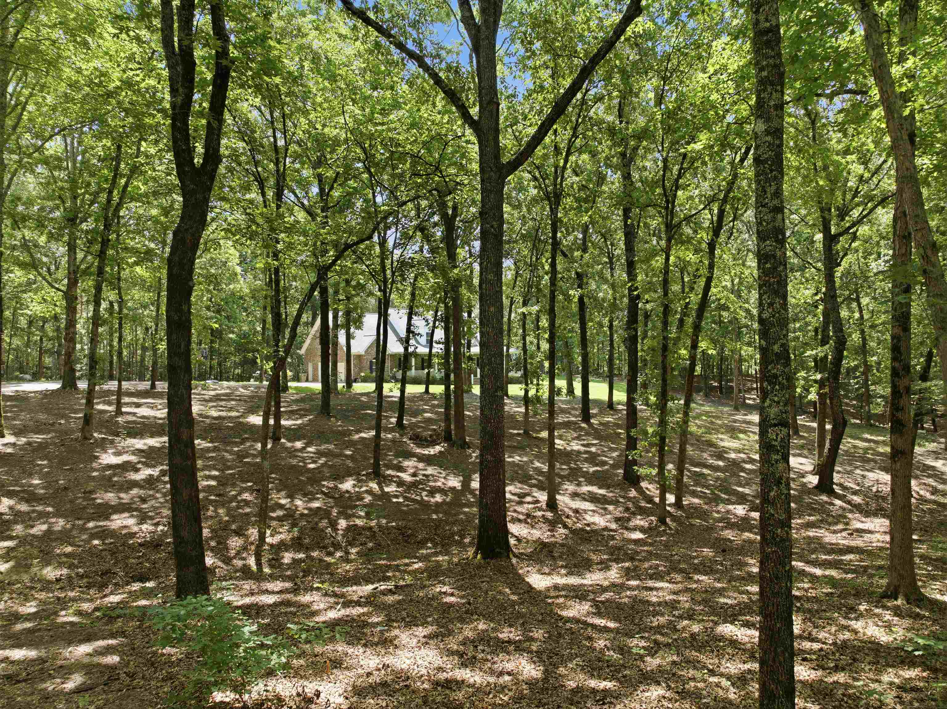 3295 Rehoboth Rd Property Photo 32