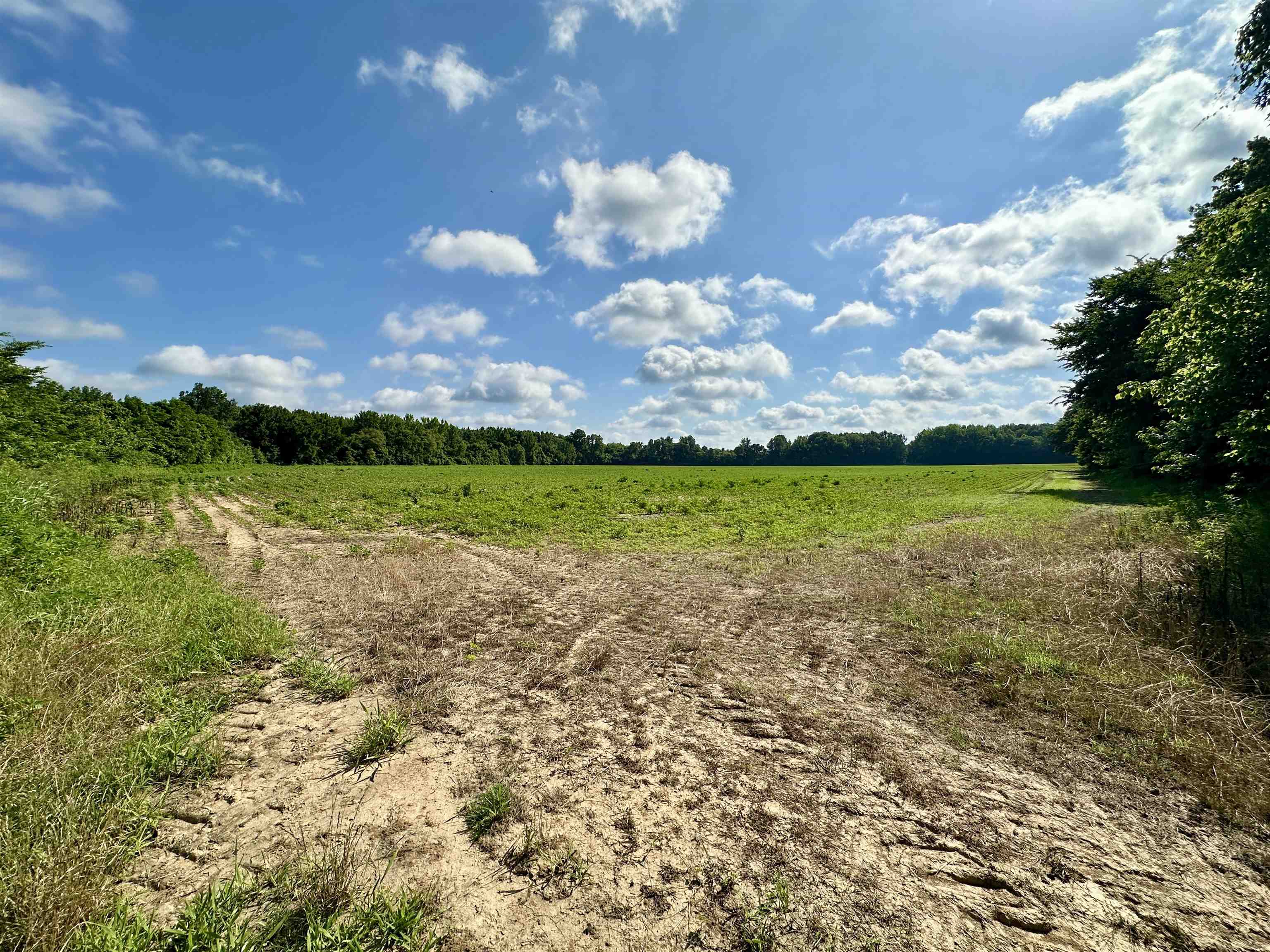 1465 Bobbitt Rd Property Photo 8