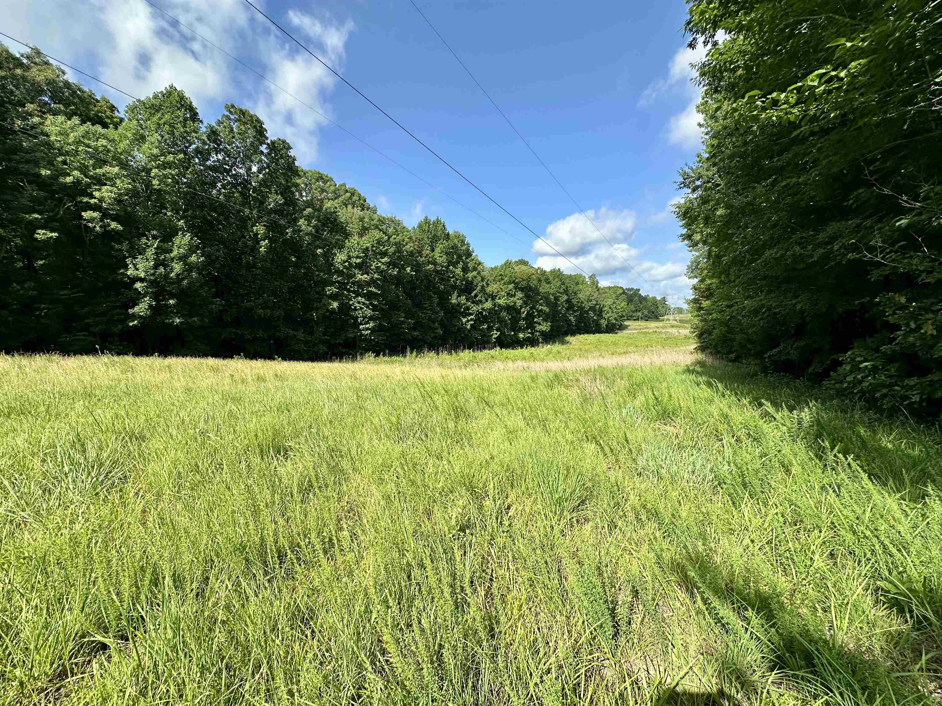 1465 Bobbitt Rd Property Photo 9