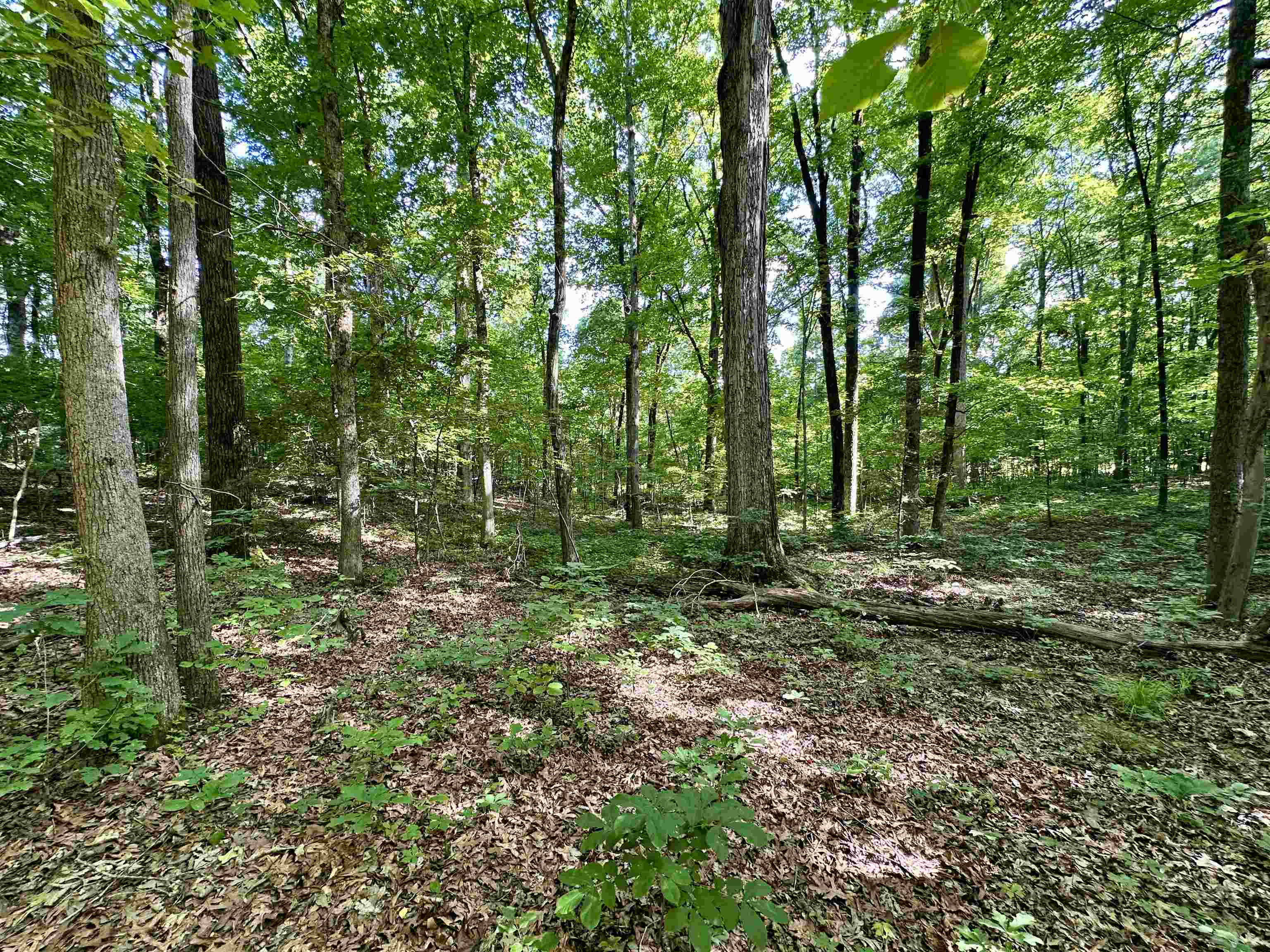 1465 Bobbitt Rd Property Photo 10
