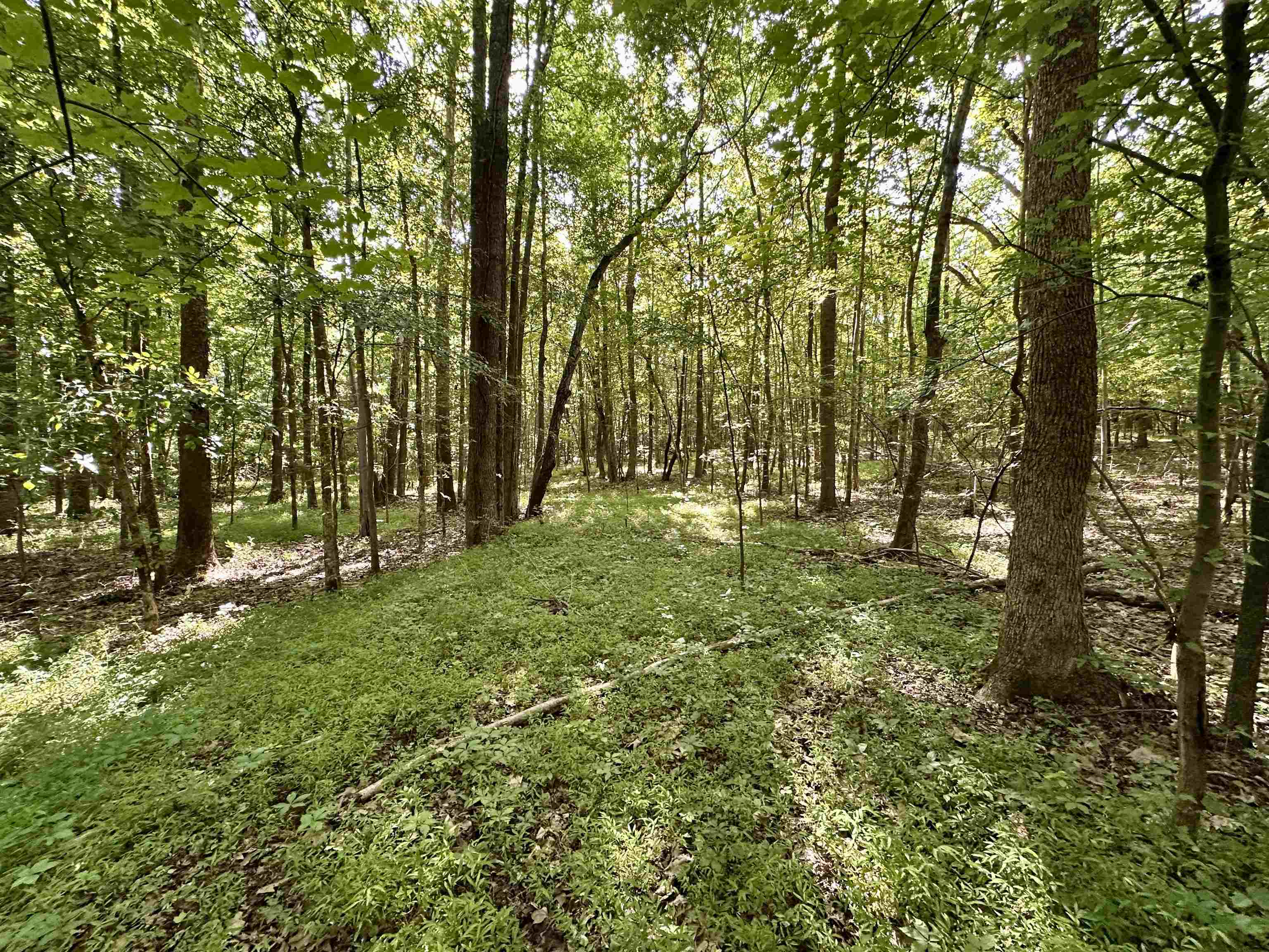 1465 Bobbitt Rd Property Photo 11