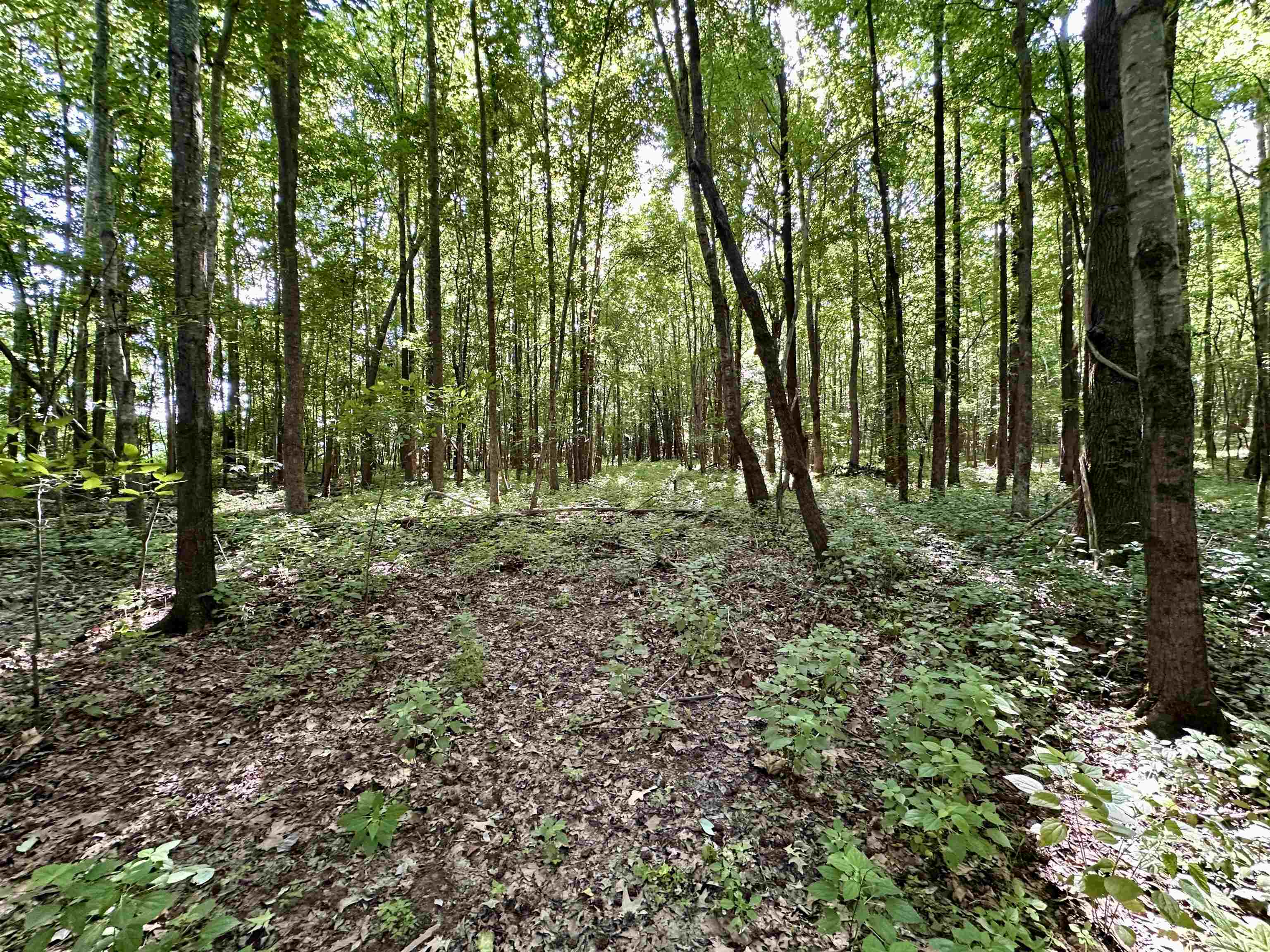 1465 Bobbitt Rd Property Photo 12