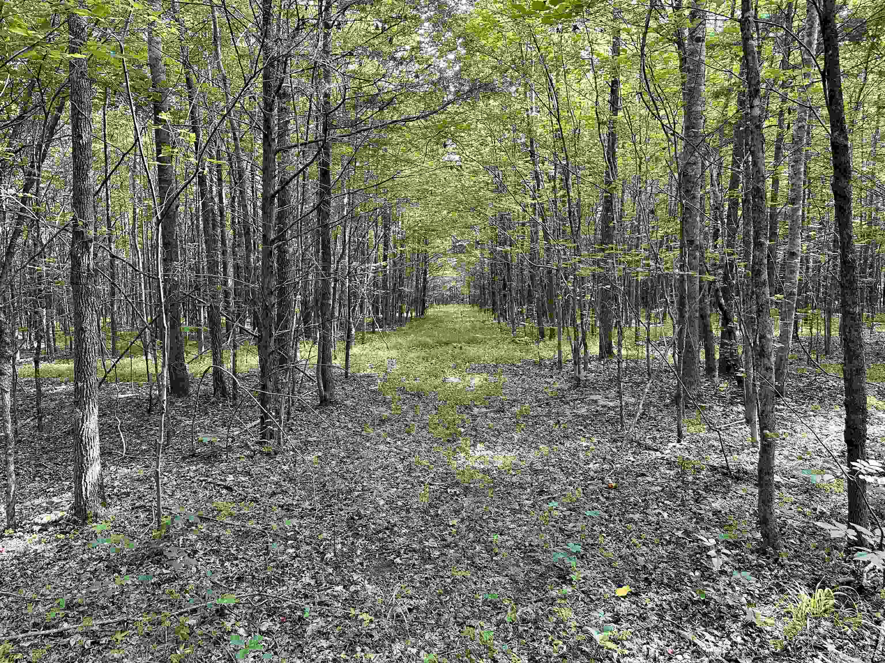1465 Bobbitt Rd Property Photo 13