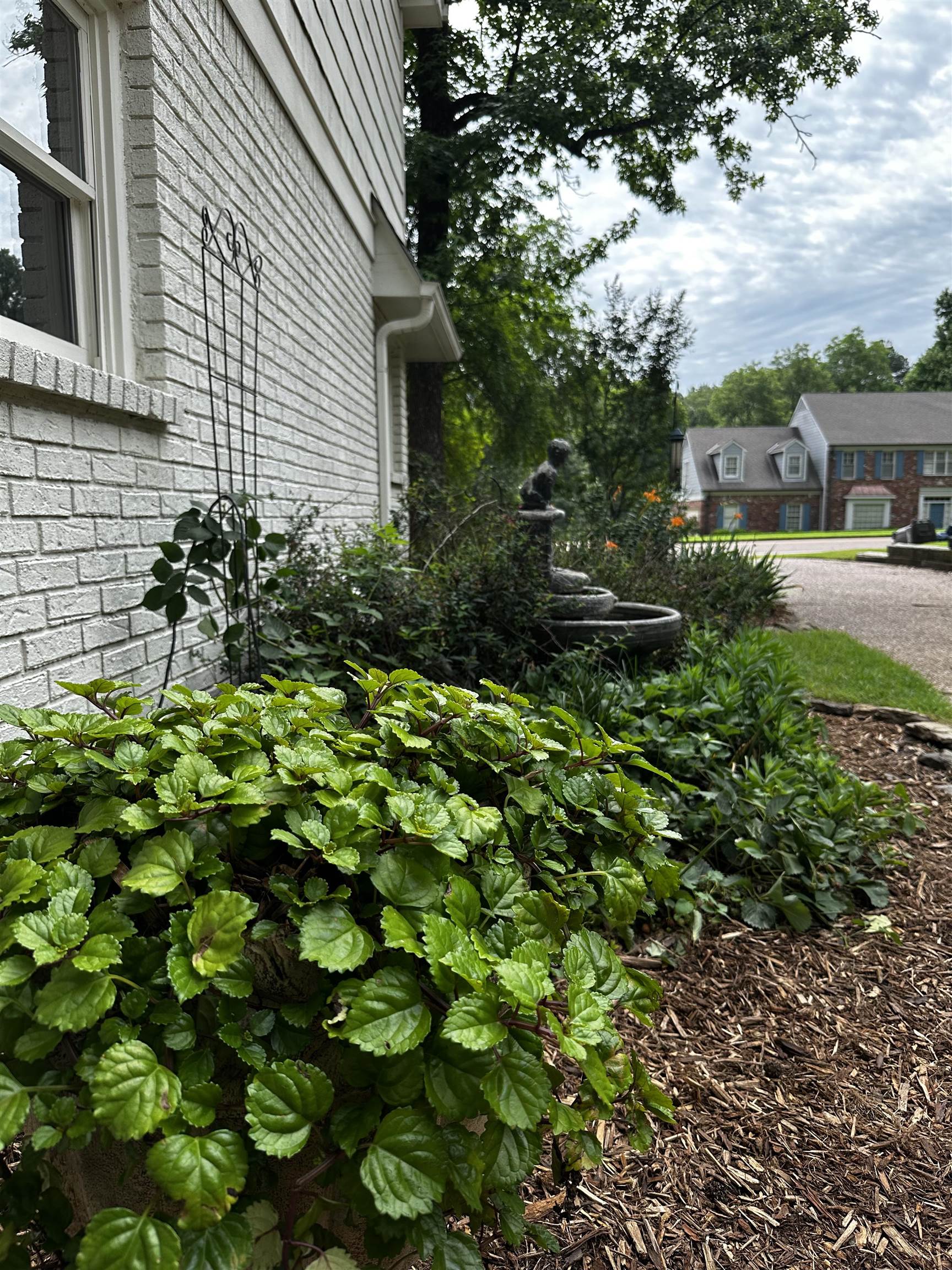 1863 Miller Farms Rd Property Photo 29