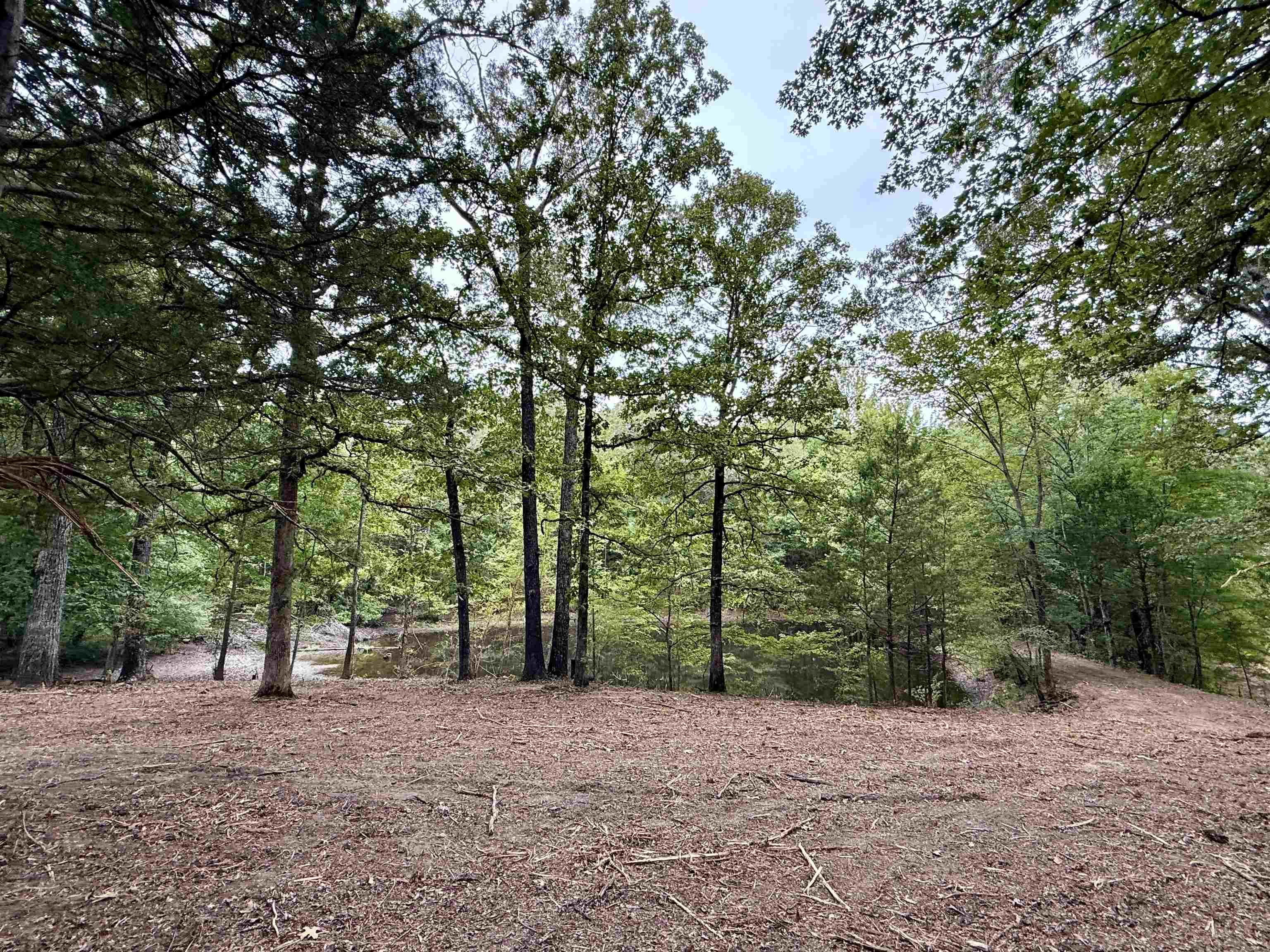 6235 Mckinstry Rd Property Photo 38