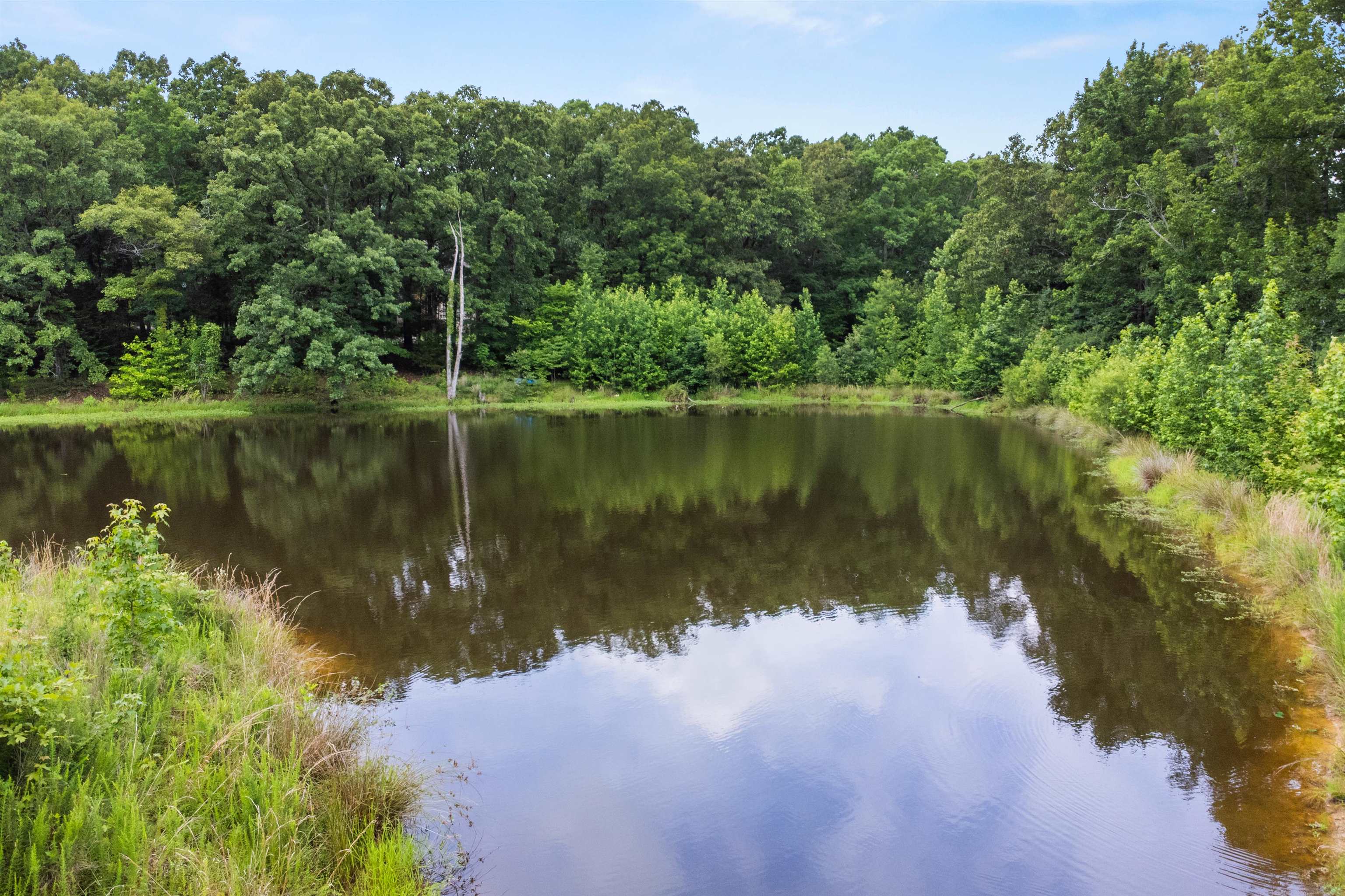 0 Cypress Lake Dr Property Photo 4