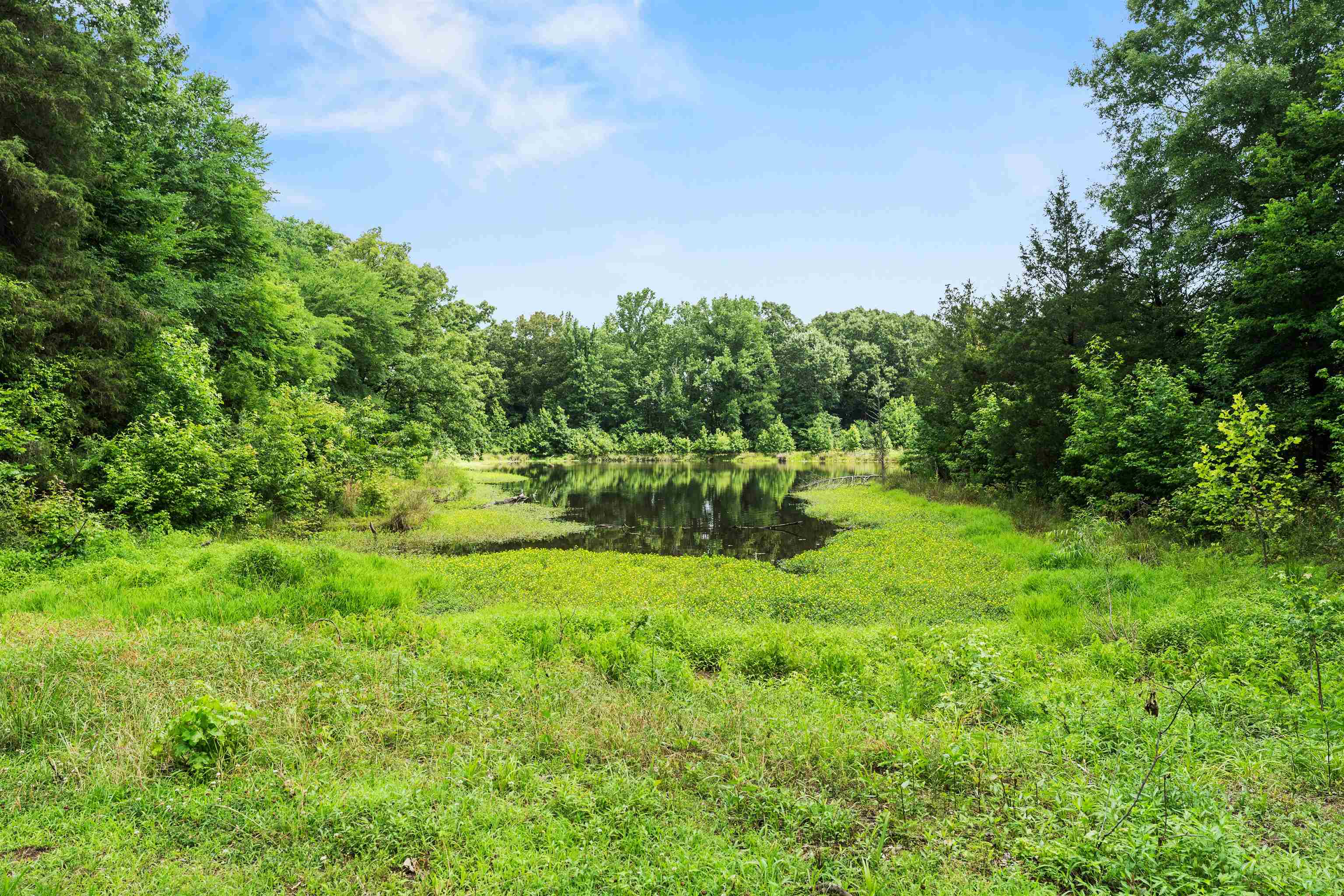 0 Cypress Lake Dr Property Photo 8