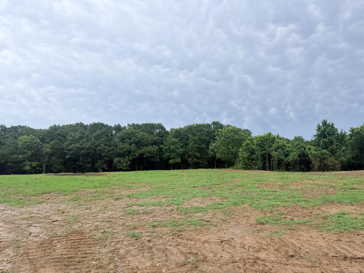 0 Young Cemetary Rd Property Photo 3