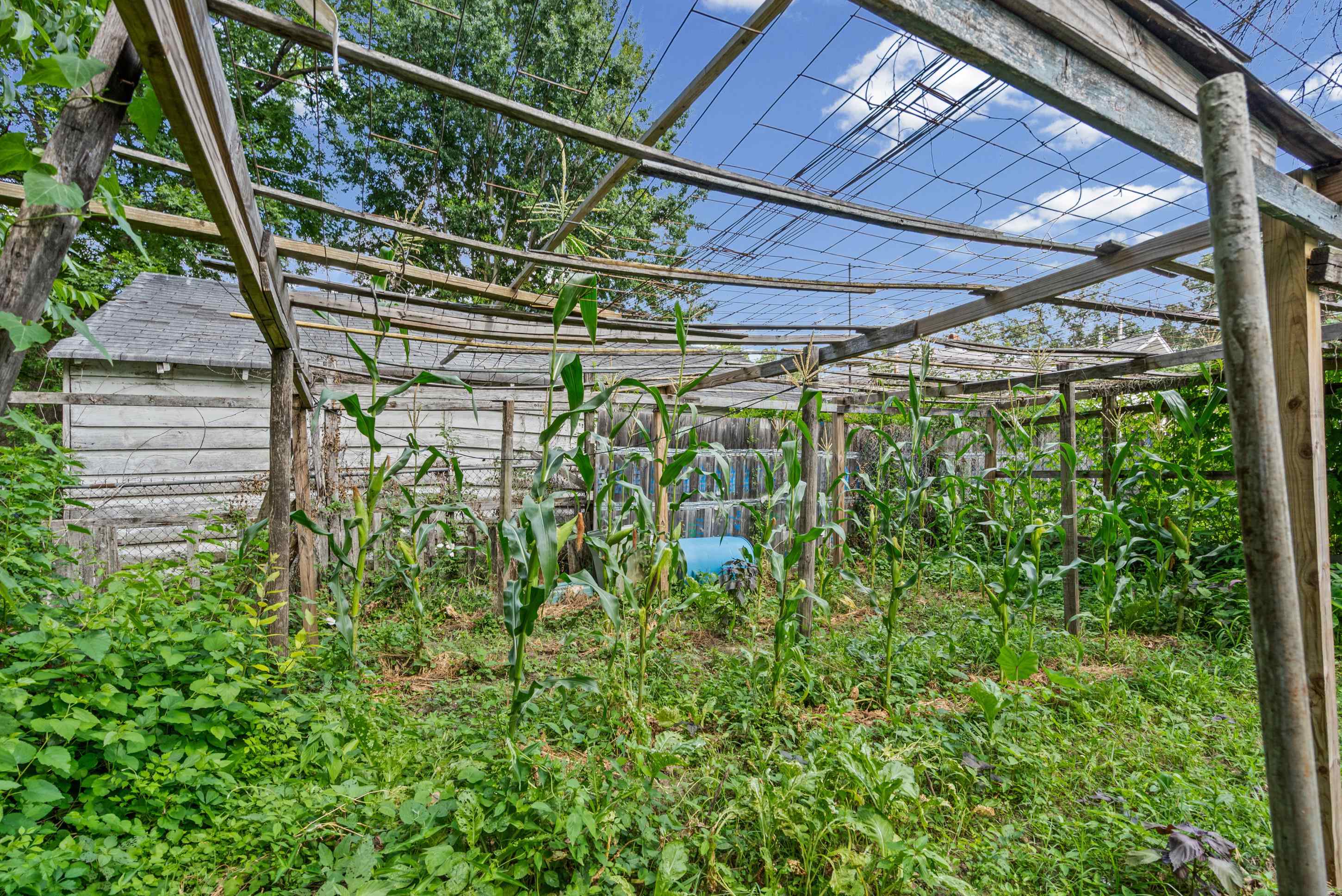 3526 Powell Ave Property Photo 18