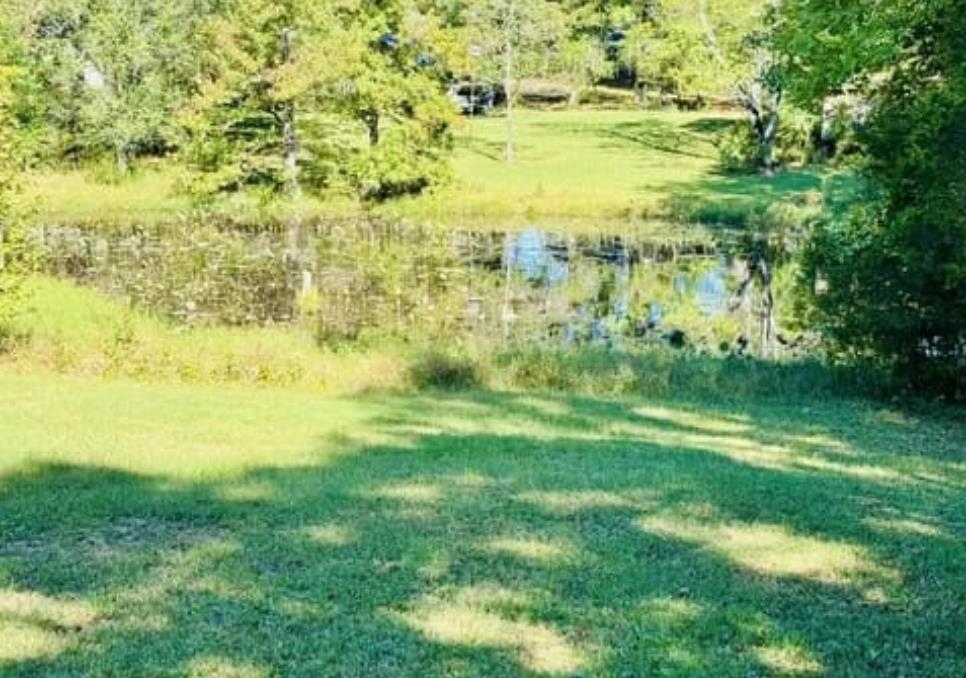 309 Kirkpatrick Dr Property Photo 29