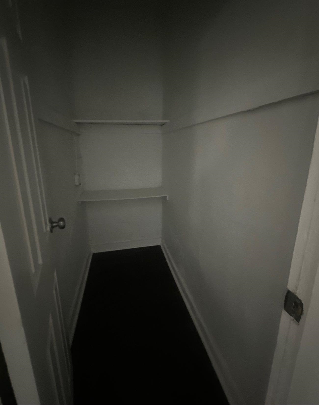 1165 Rayner St Property Photo 10