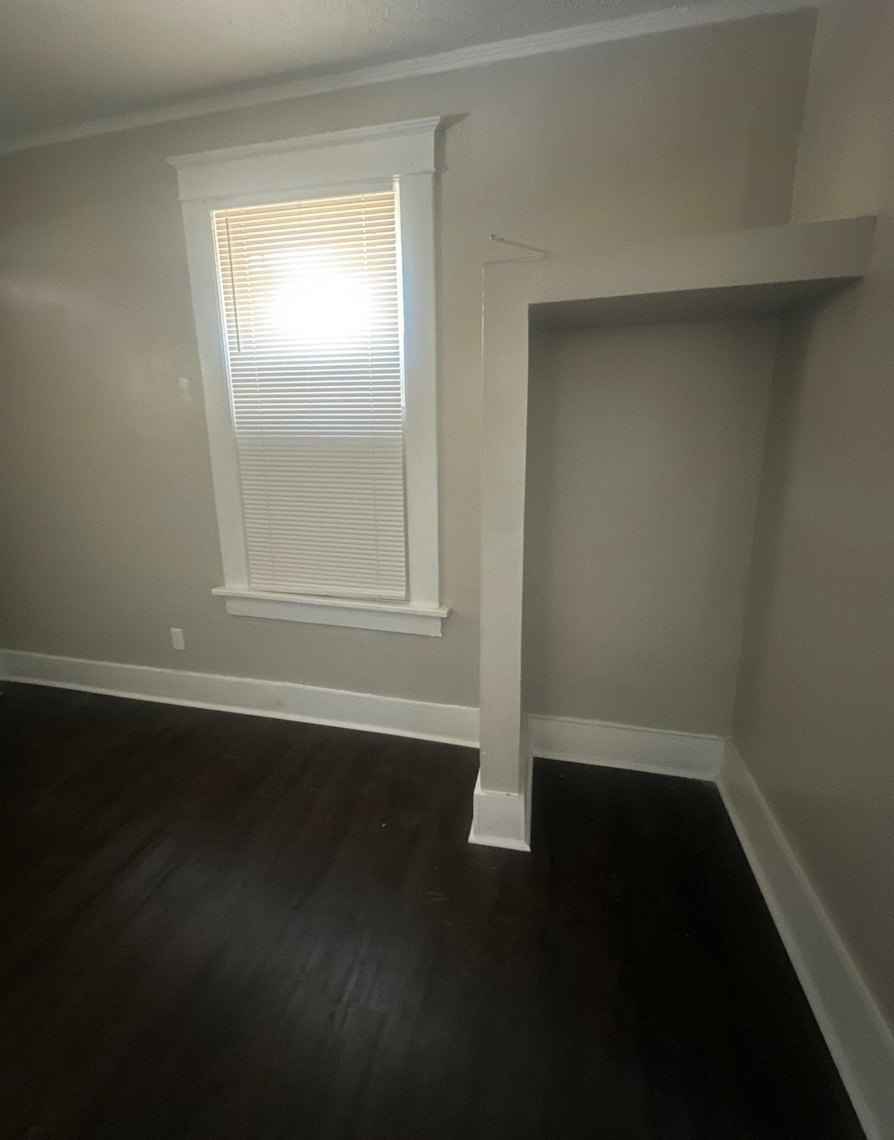 1165 Rayner St Property Photo 16