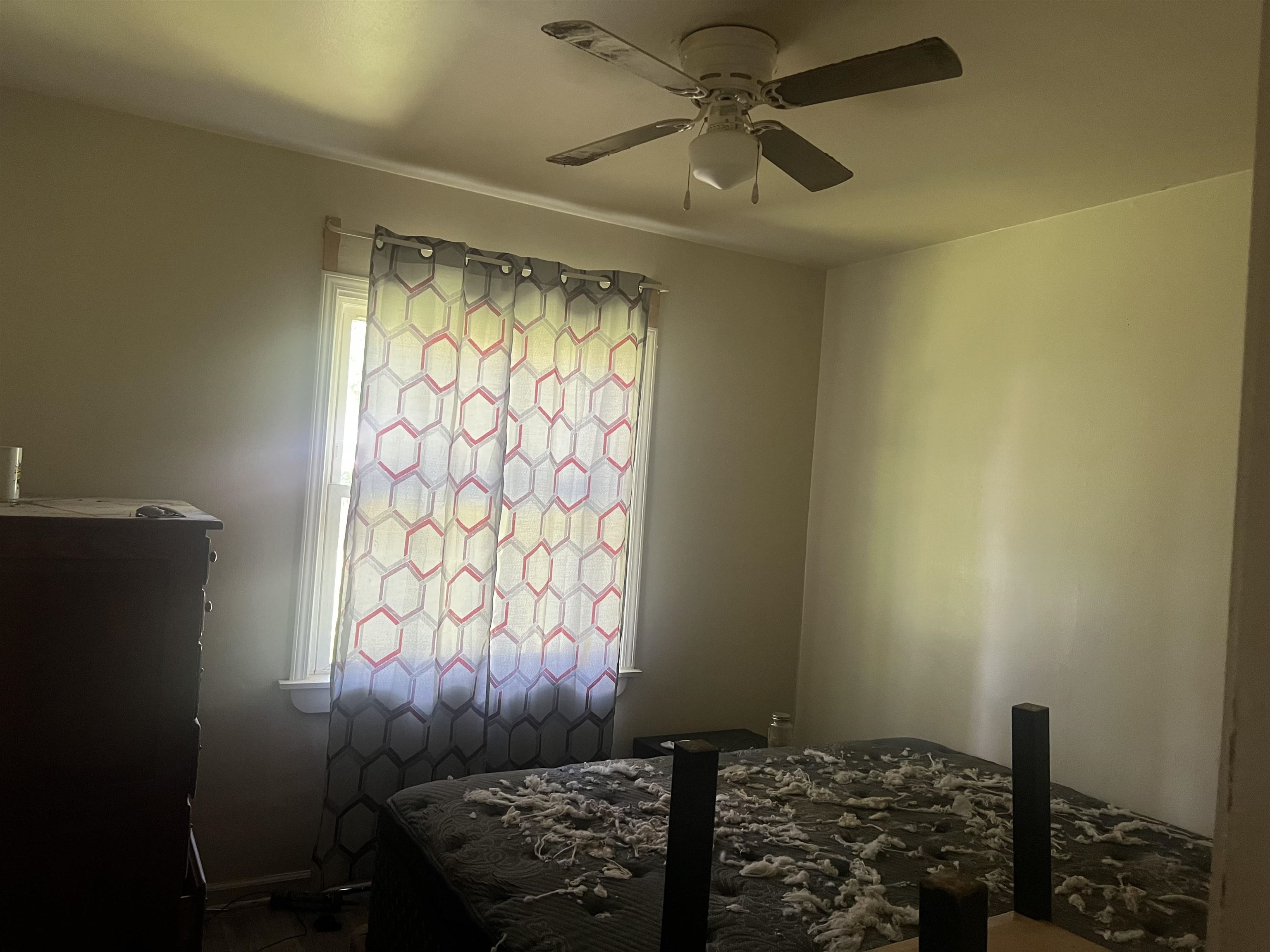 3836 Bluejay Rd Property Photo 7