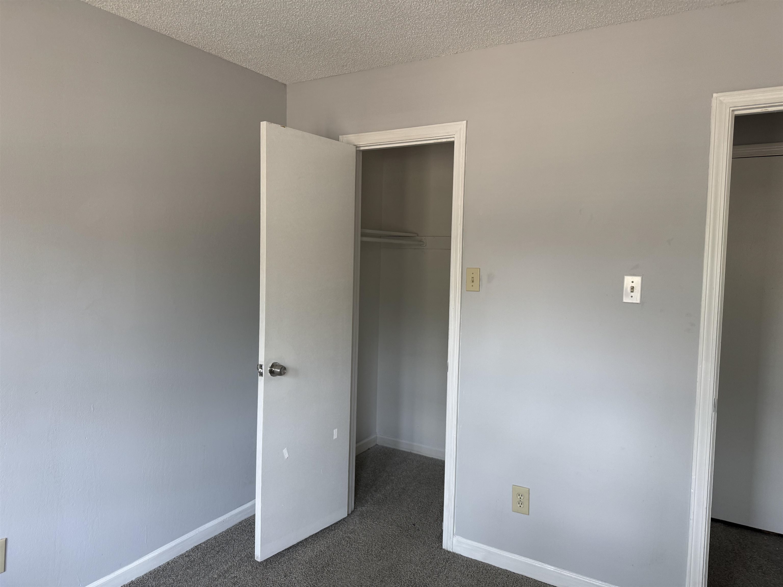 3157 Tulip Poplar Dr 3157 Property Photo 15