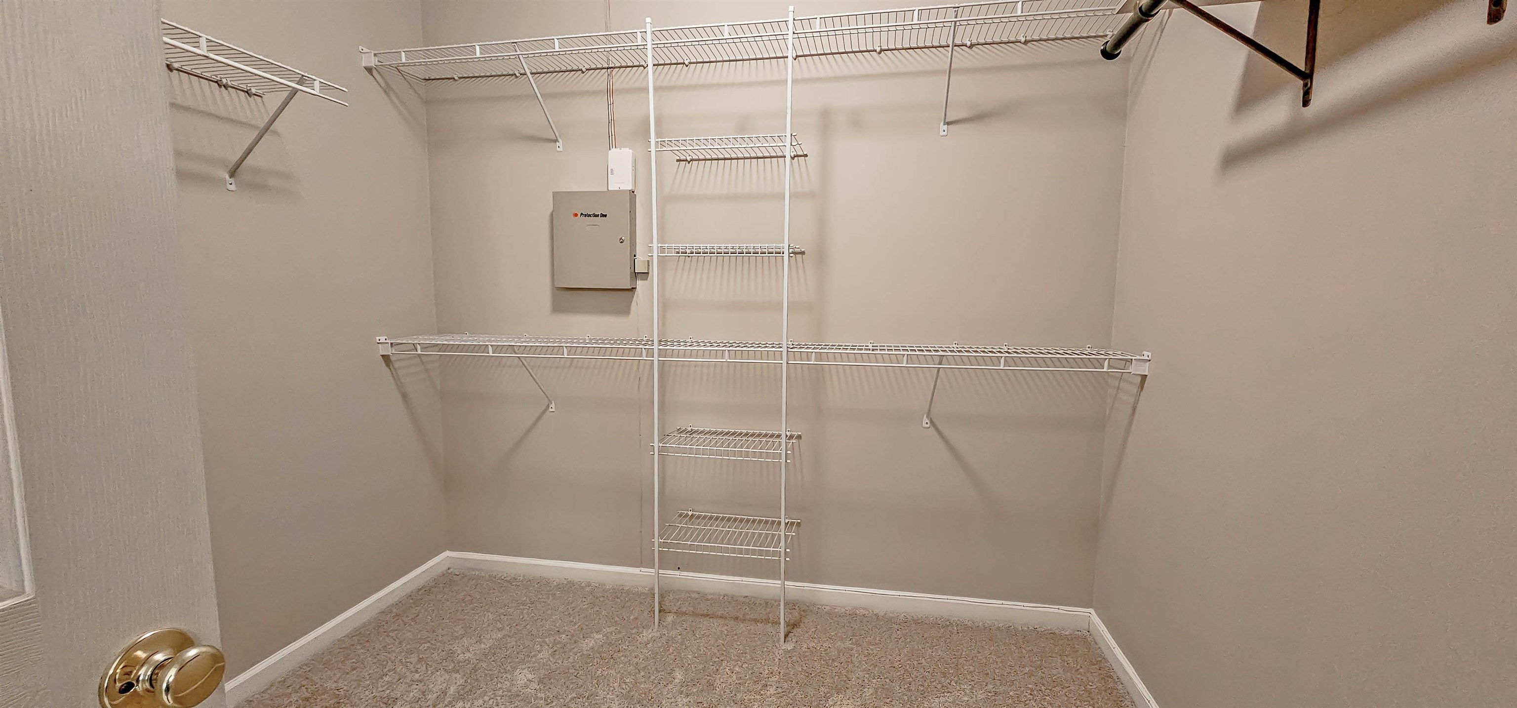 8678 Ashbury Oak Dr Property Photo 22