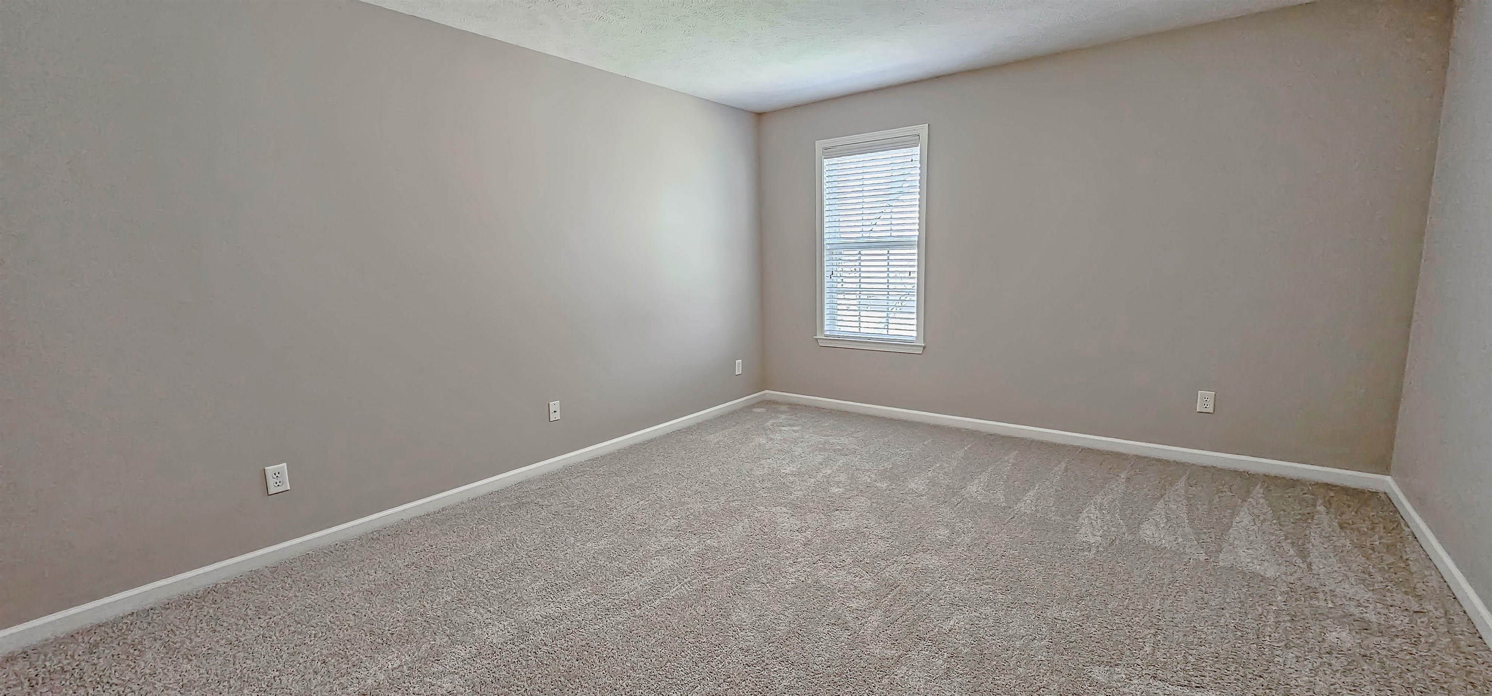 8678 Ashbury Oak Dr Property Photo 24