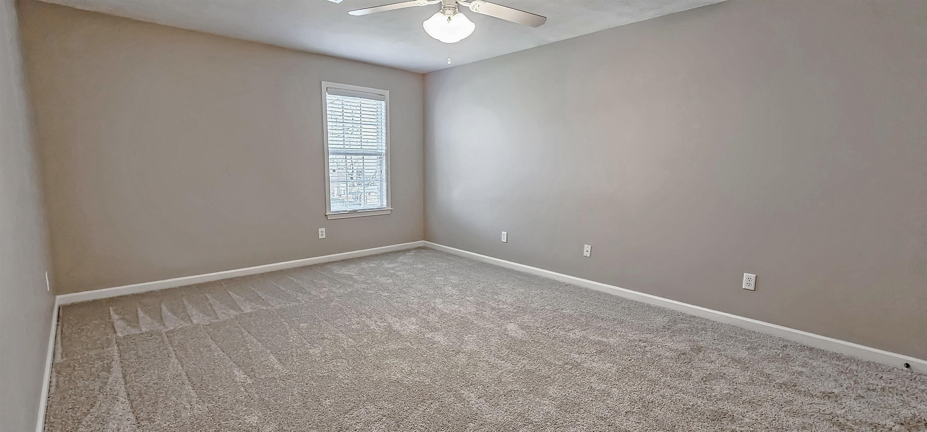 8678 Ashbury Oak Dr Property Photo 25