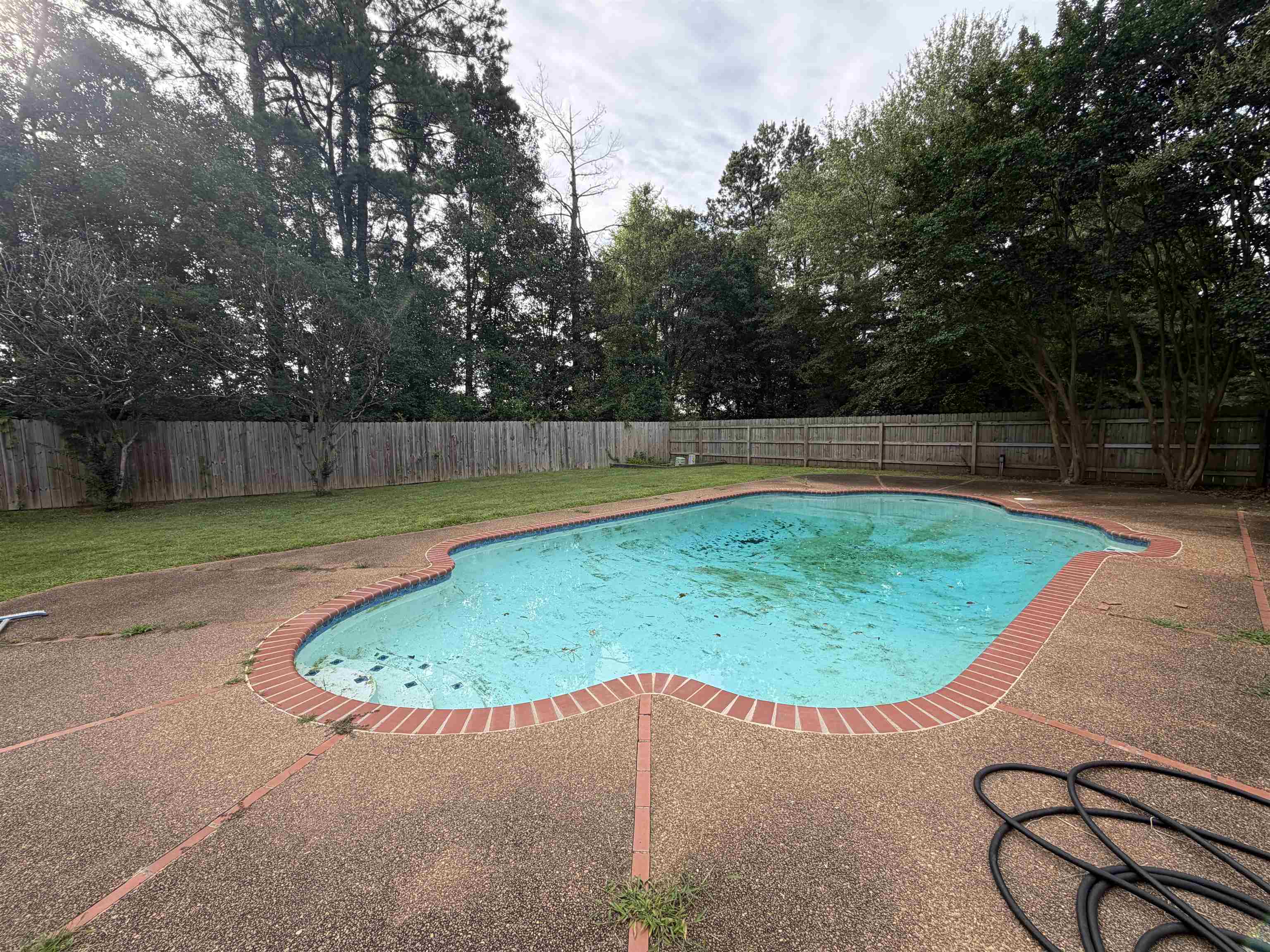 956 Rolling Oaks Ln Property Photo 3