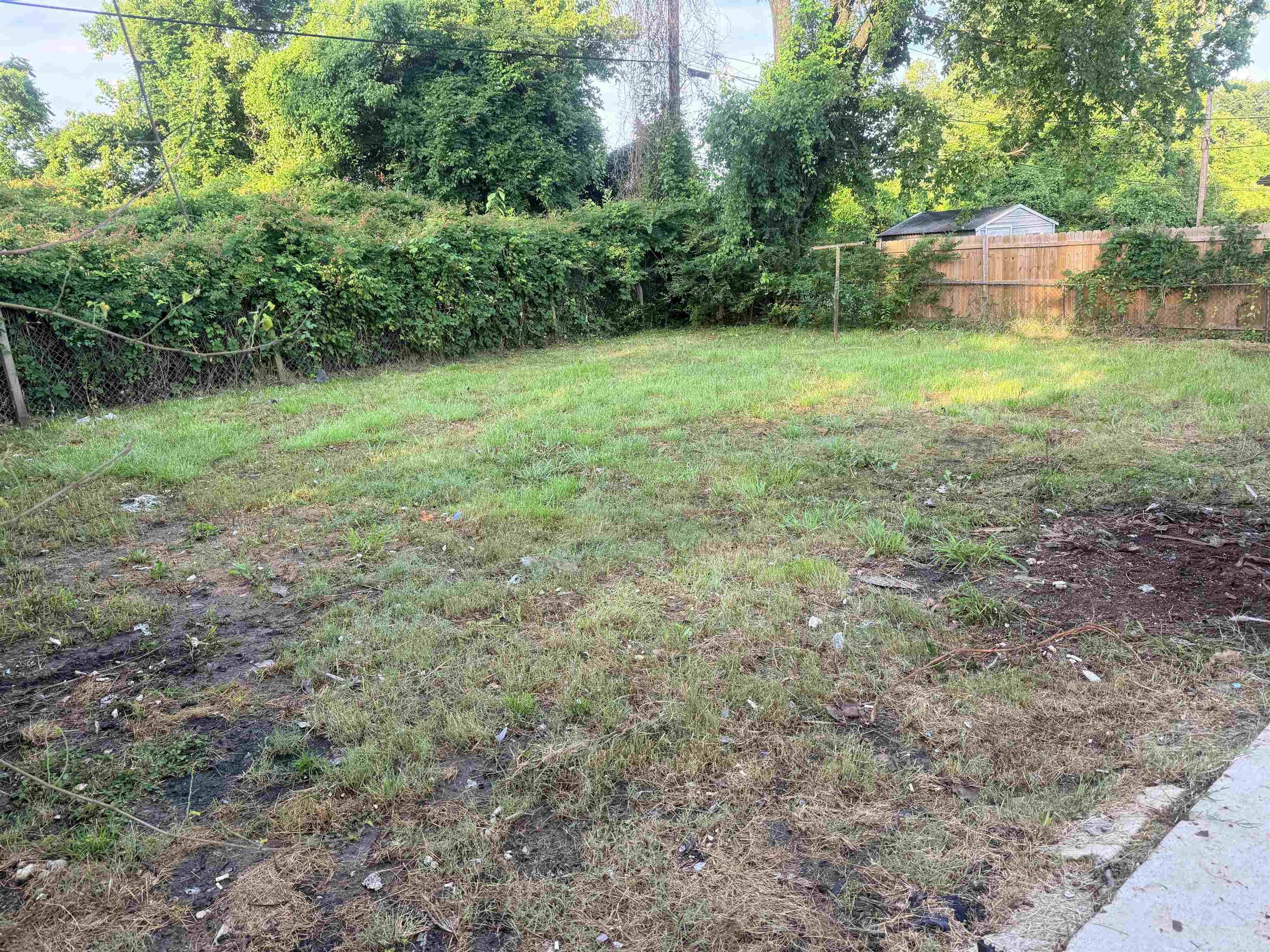 803 Cavalier Dr Property Photo 13