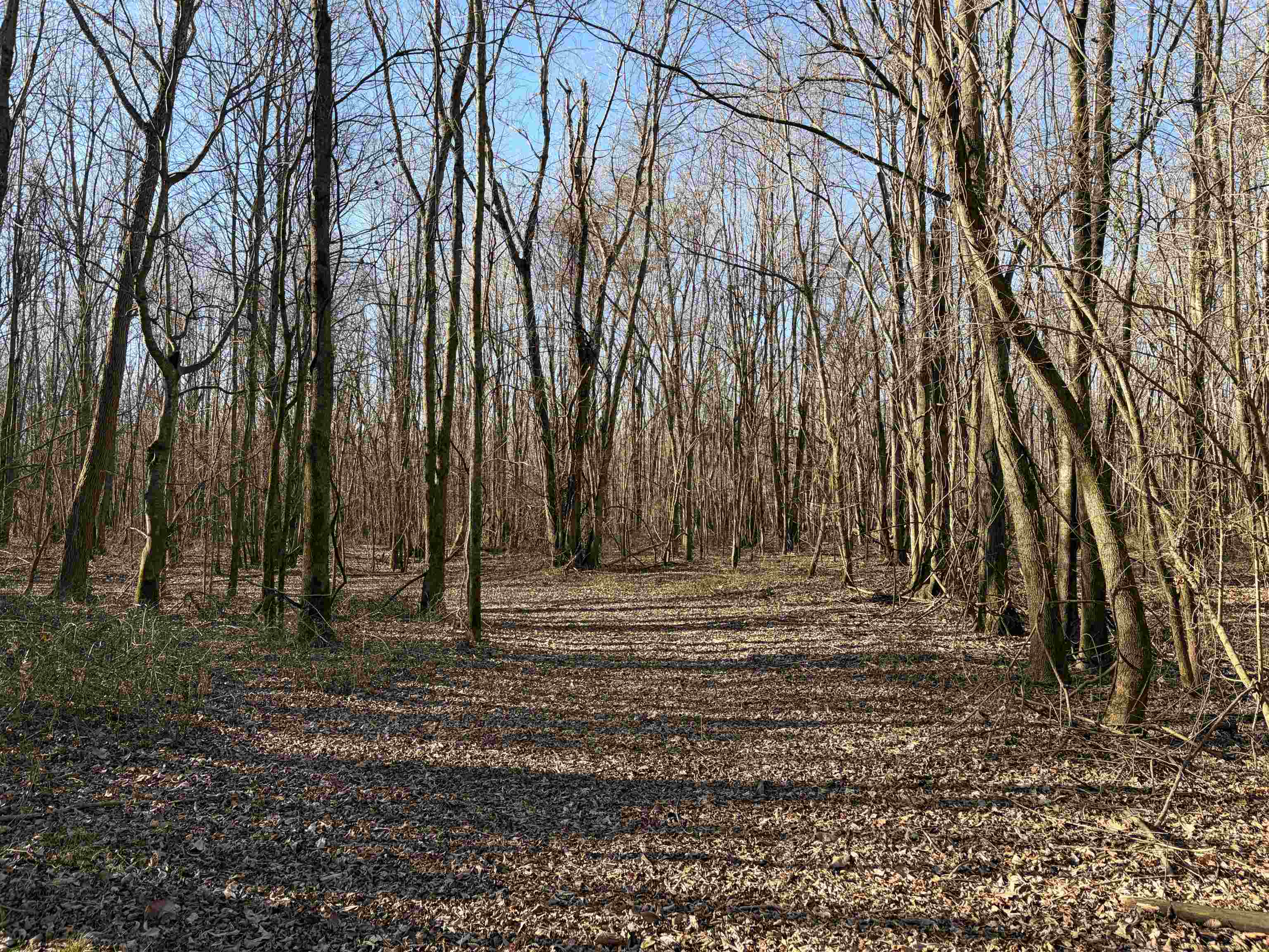 4591 Delta View Rd Property Photo 8