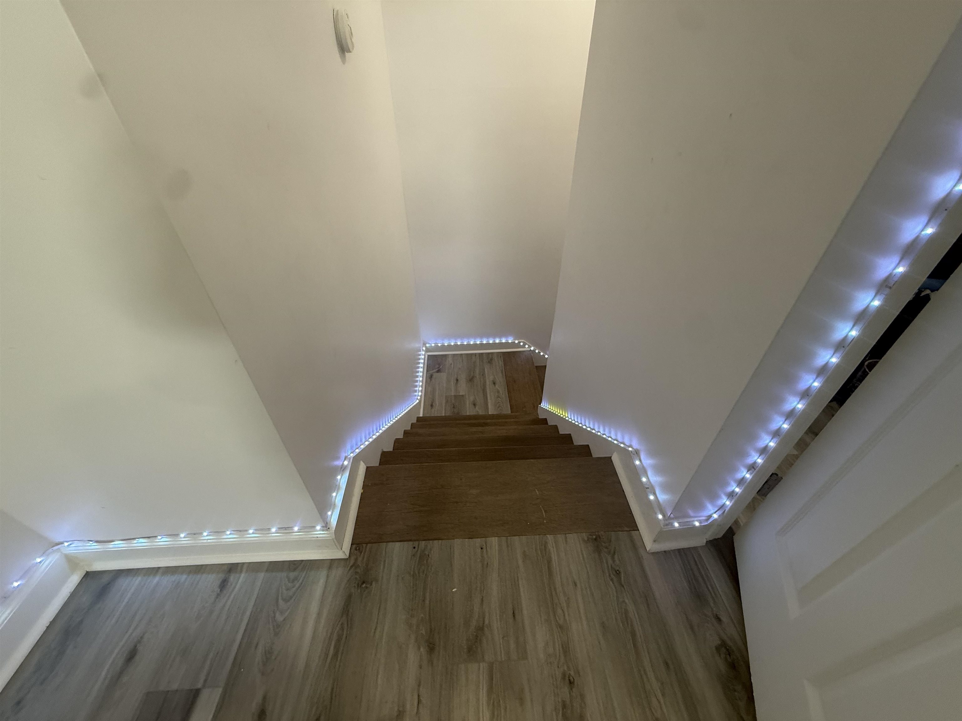 3967 Rasco Hills Dr Property Photo 17