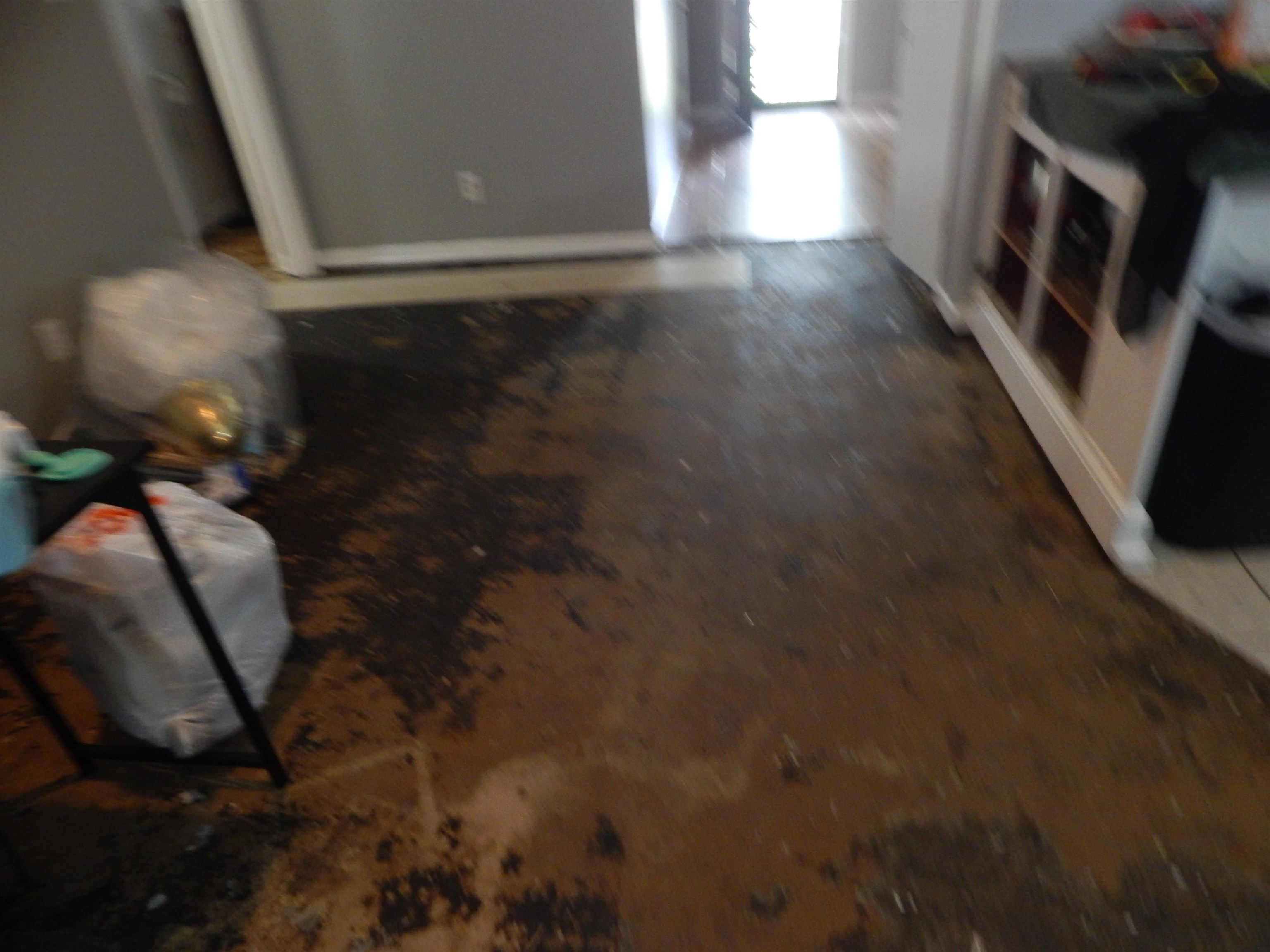 4956 Cottonwood Ave Property Photo 7