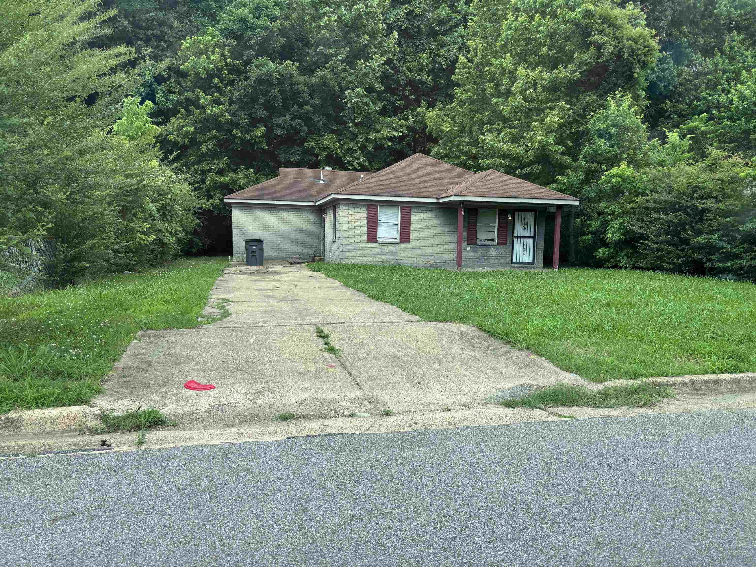 3795 Black Forrest Dr Property Photo 1
