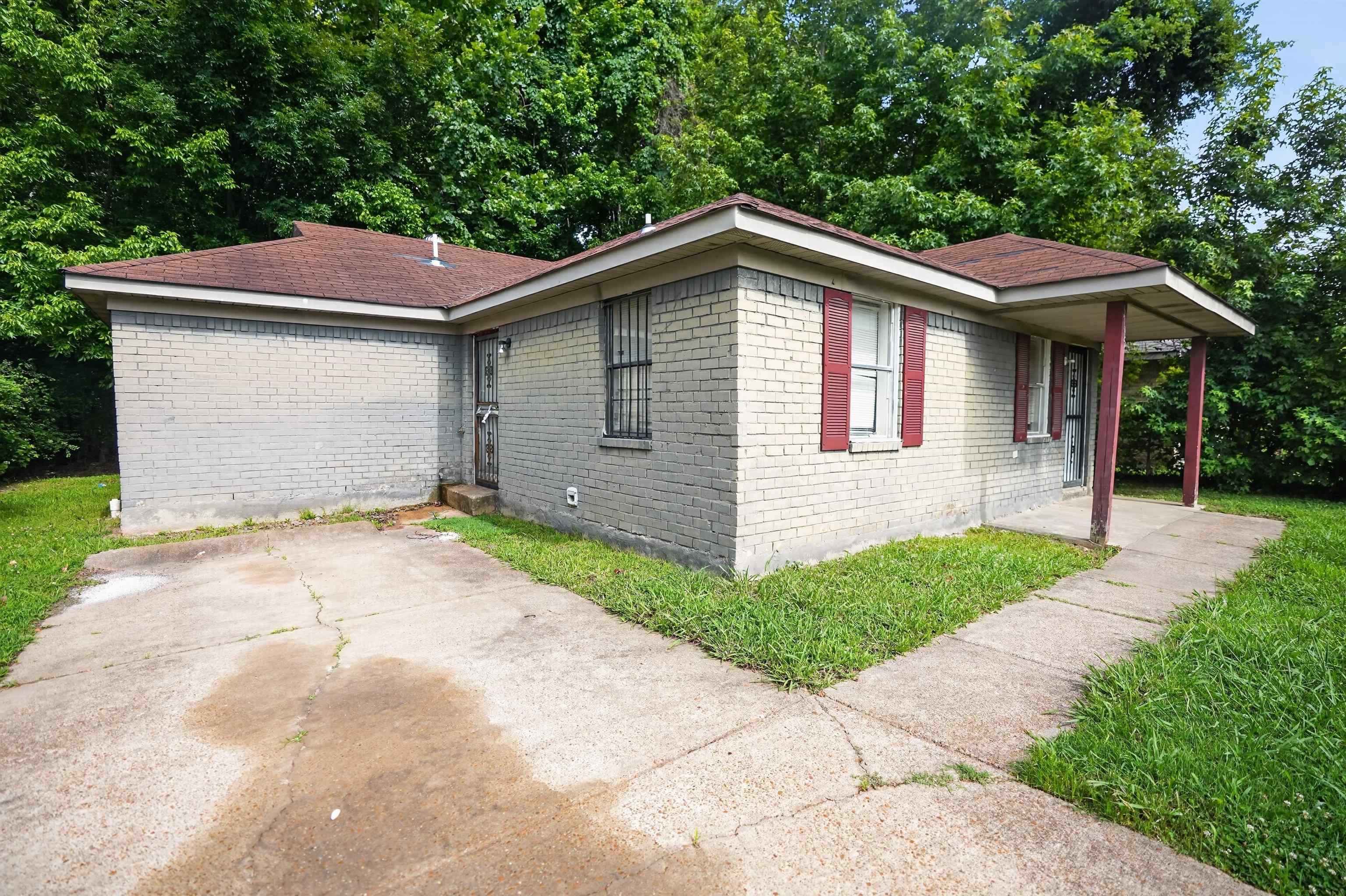 3795 Black Forrest Dr Property Photo 3