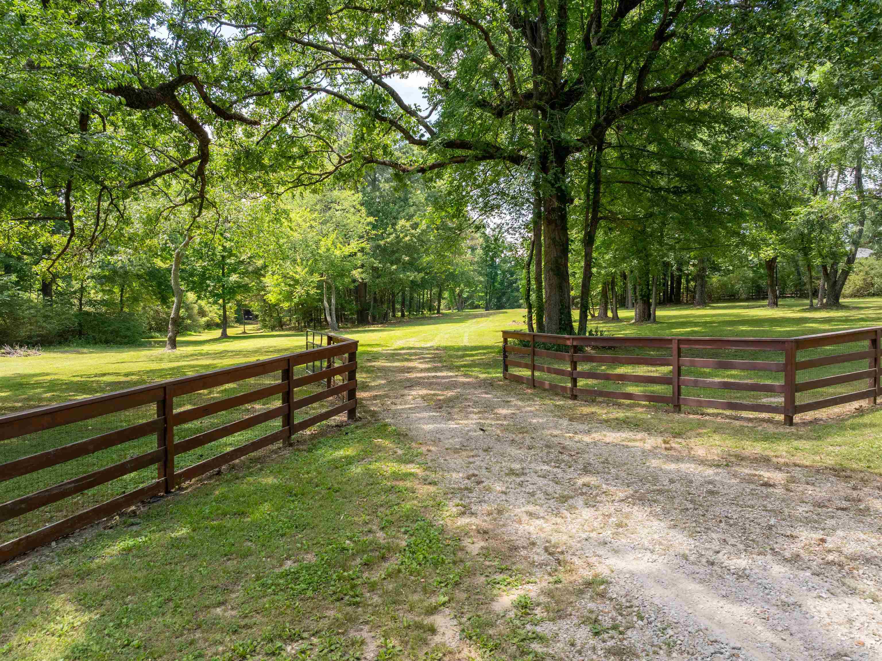 4875 Forest Hill-irene Rd Property Photo 4