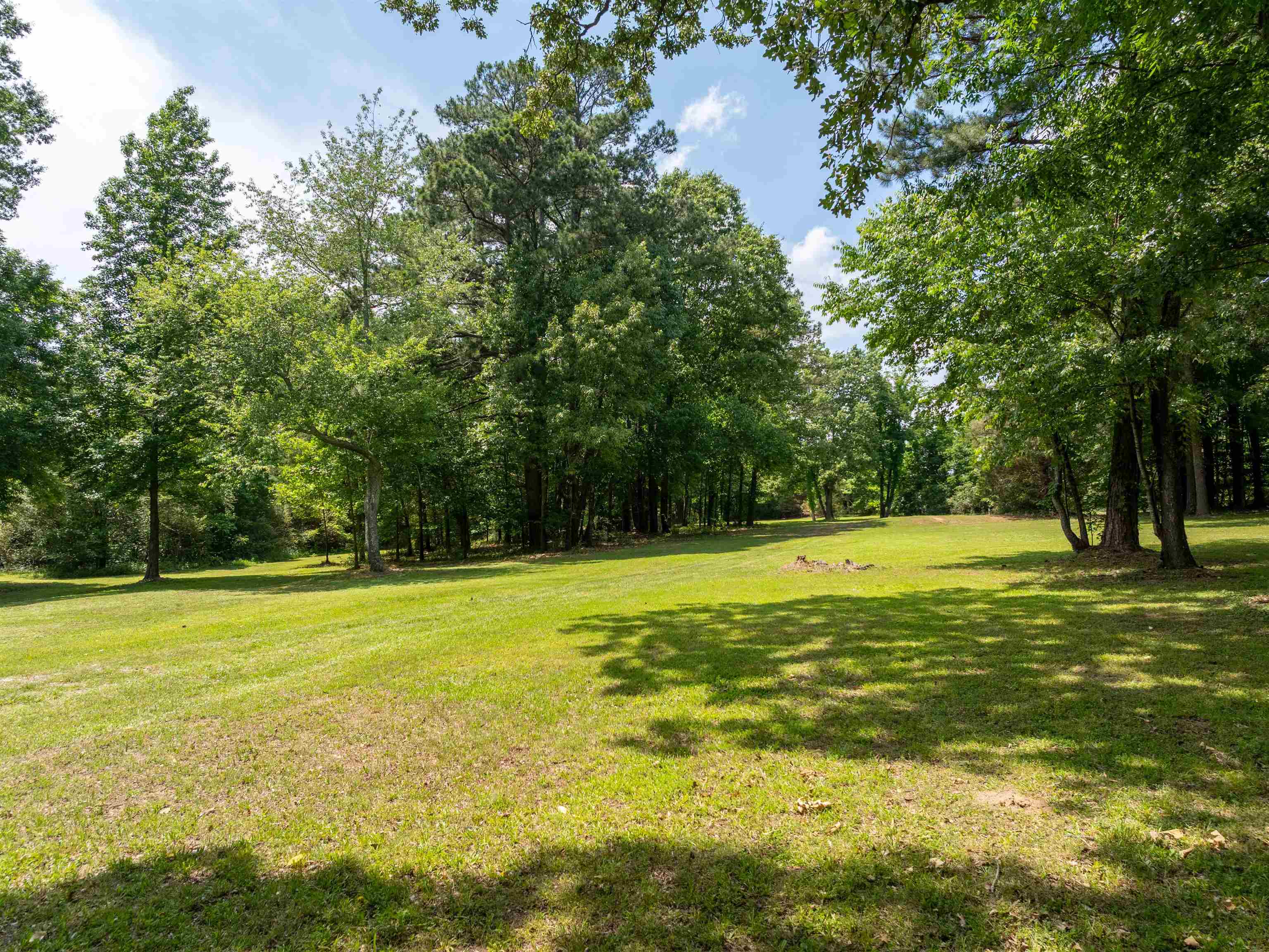 4875 Forest Hill-irene Rd Property Photo 8