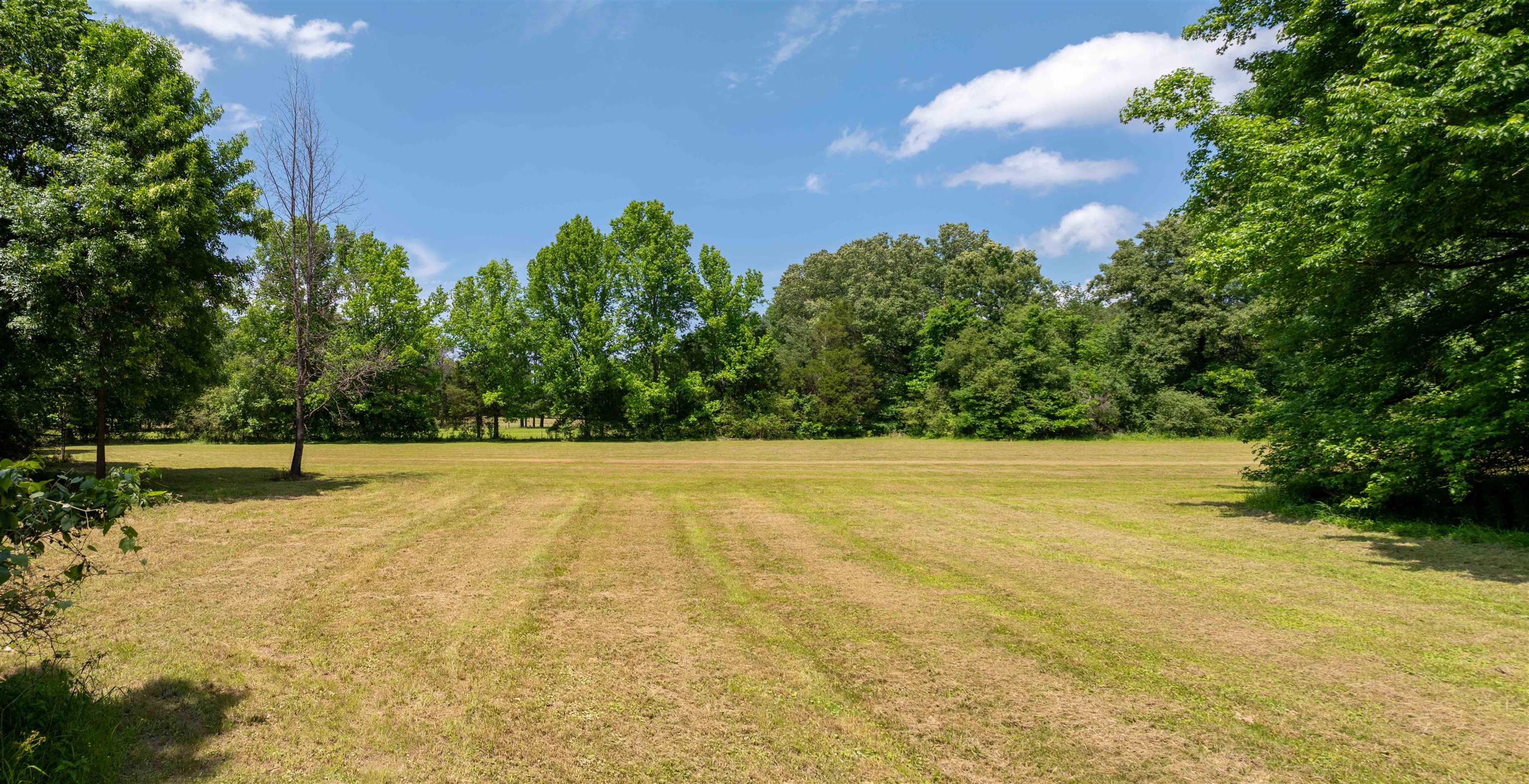 4875 Forest Hill-irene Rd Property Photo 10