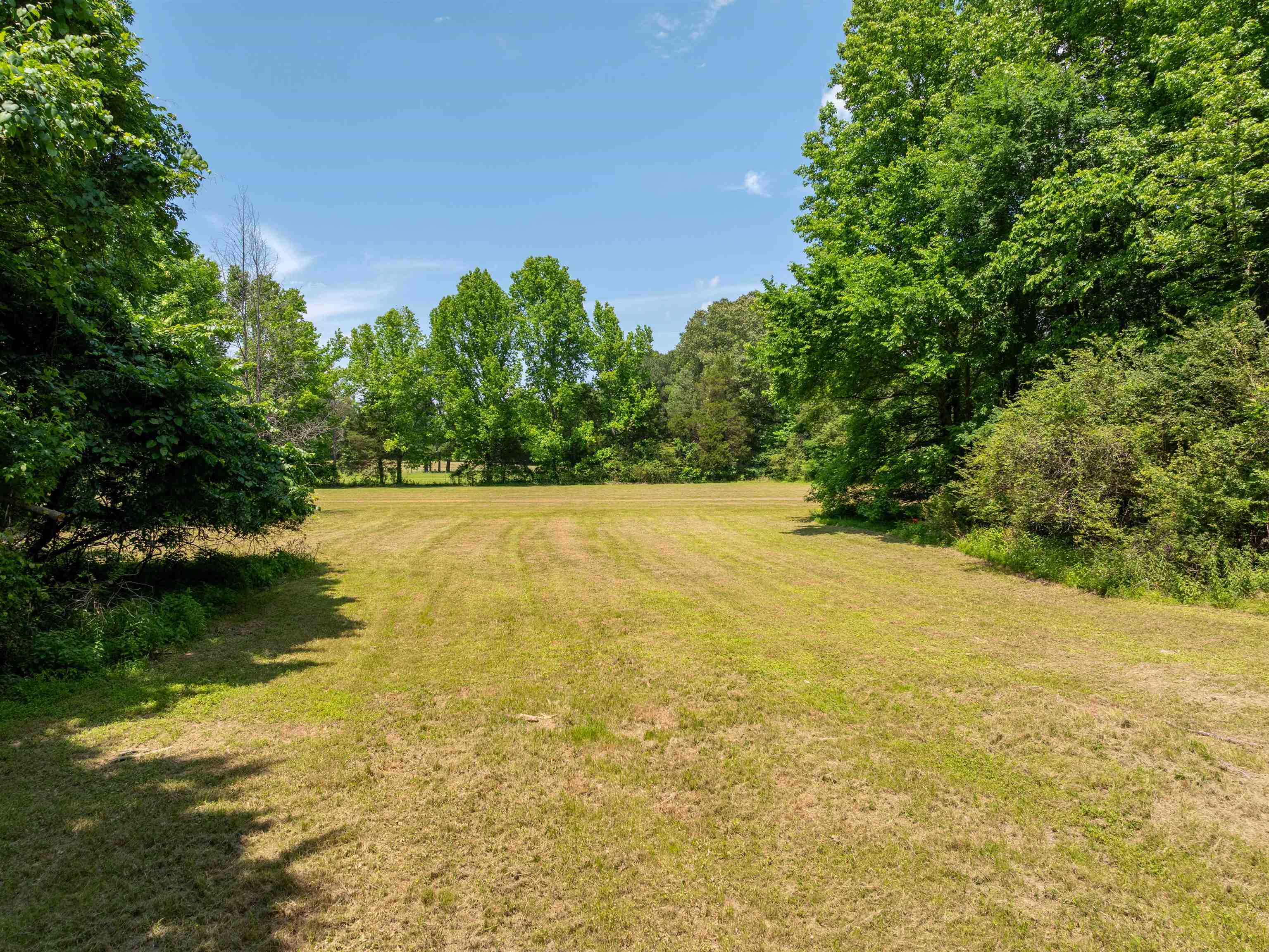 4875 Forest Hill-irene Rd Property Photo 11